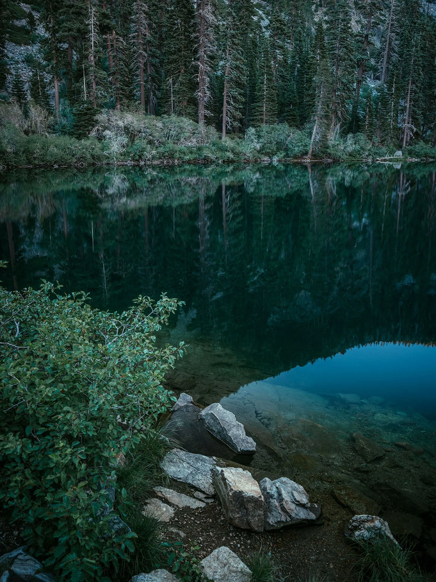 Kevin_Layton_Lake_Tahoe_0109.jpg