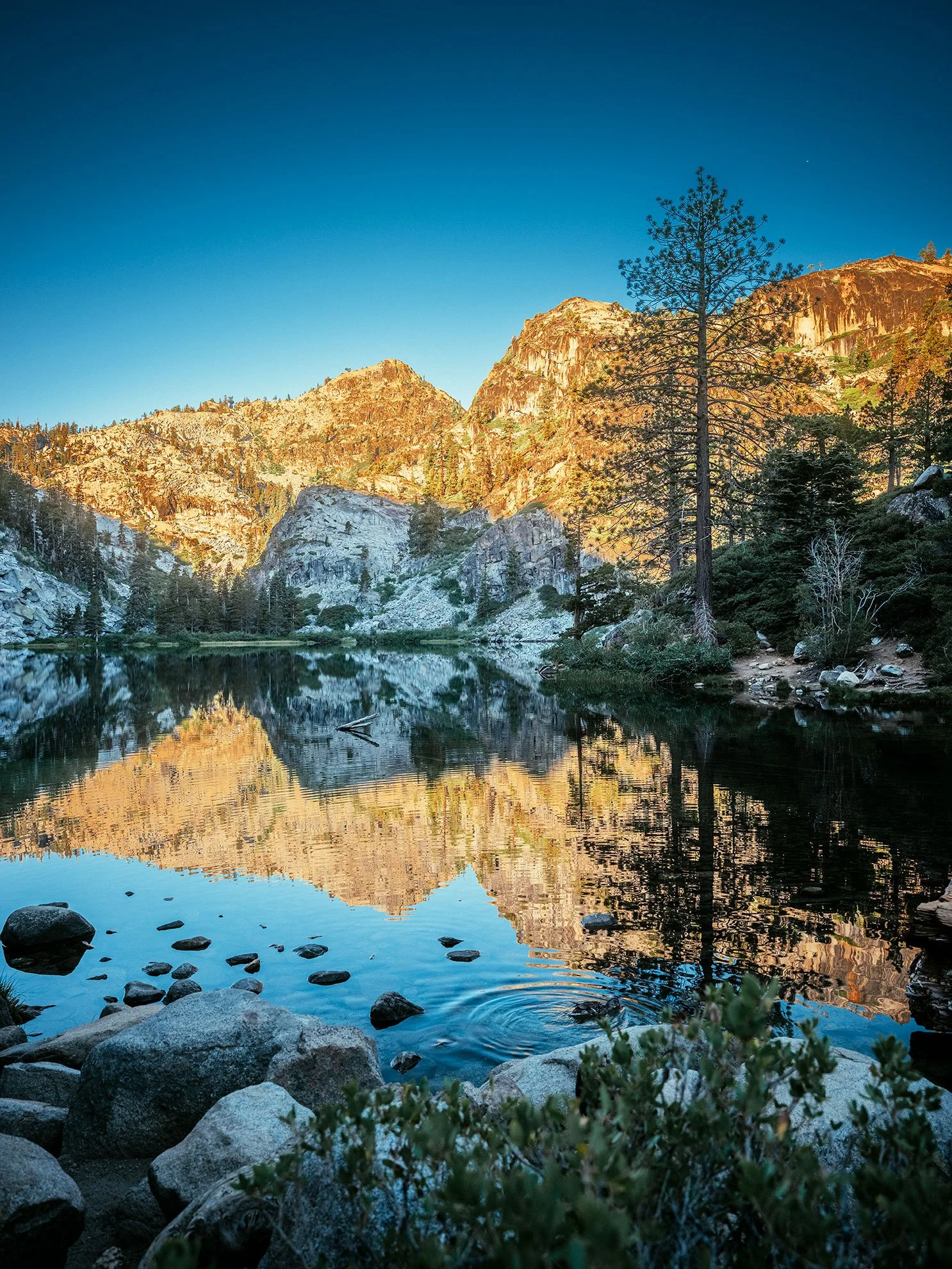 Kevin_Layton_Lake_Tahoe_0118.jpg