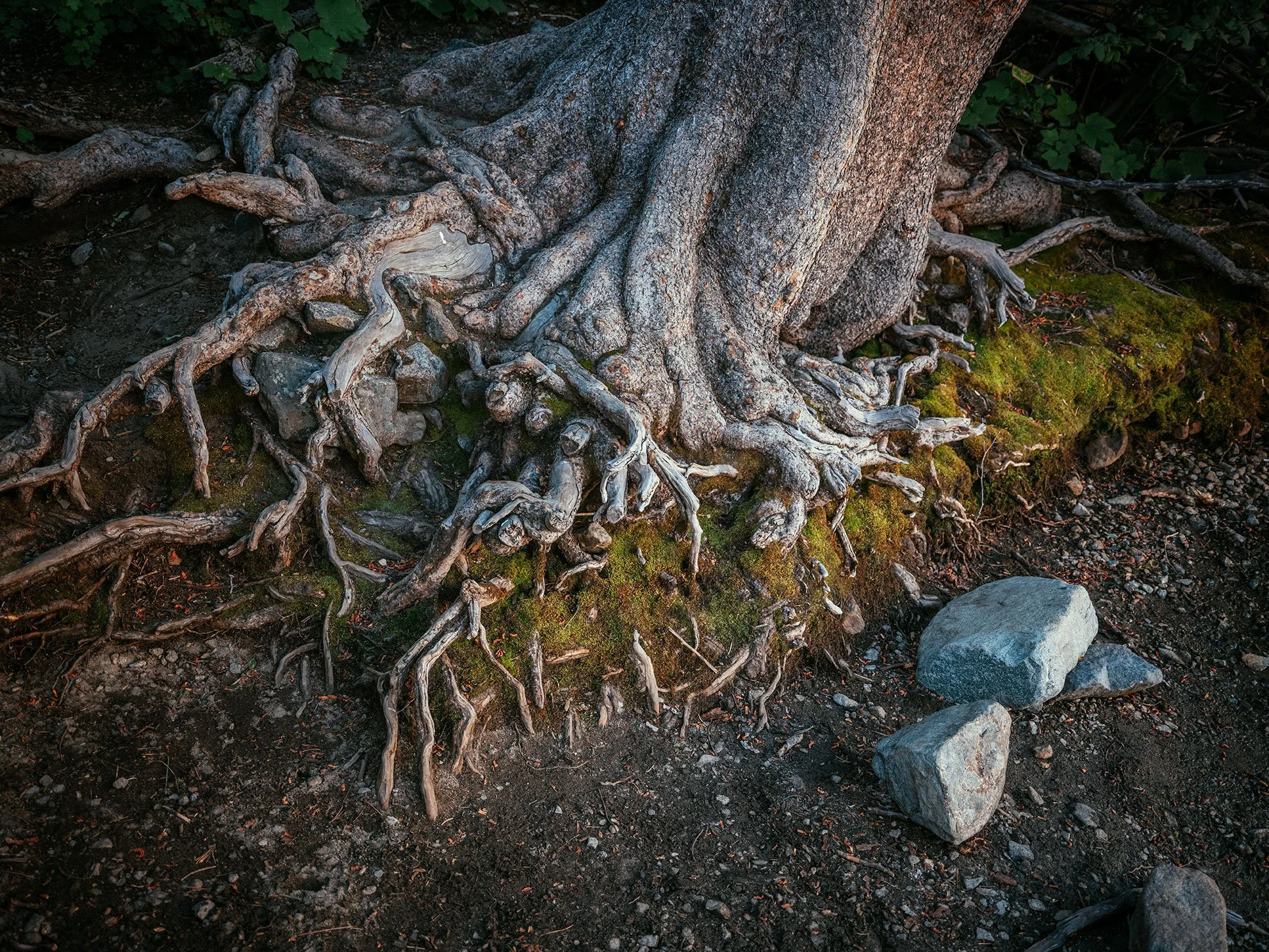 Kevin_Layton_Lake_Tahoe_0135.jpg