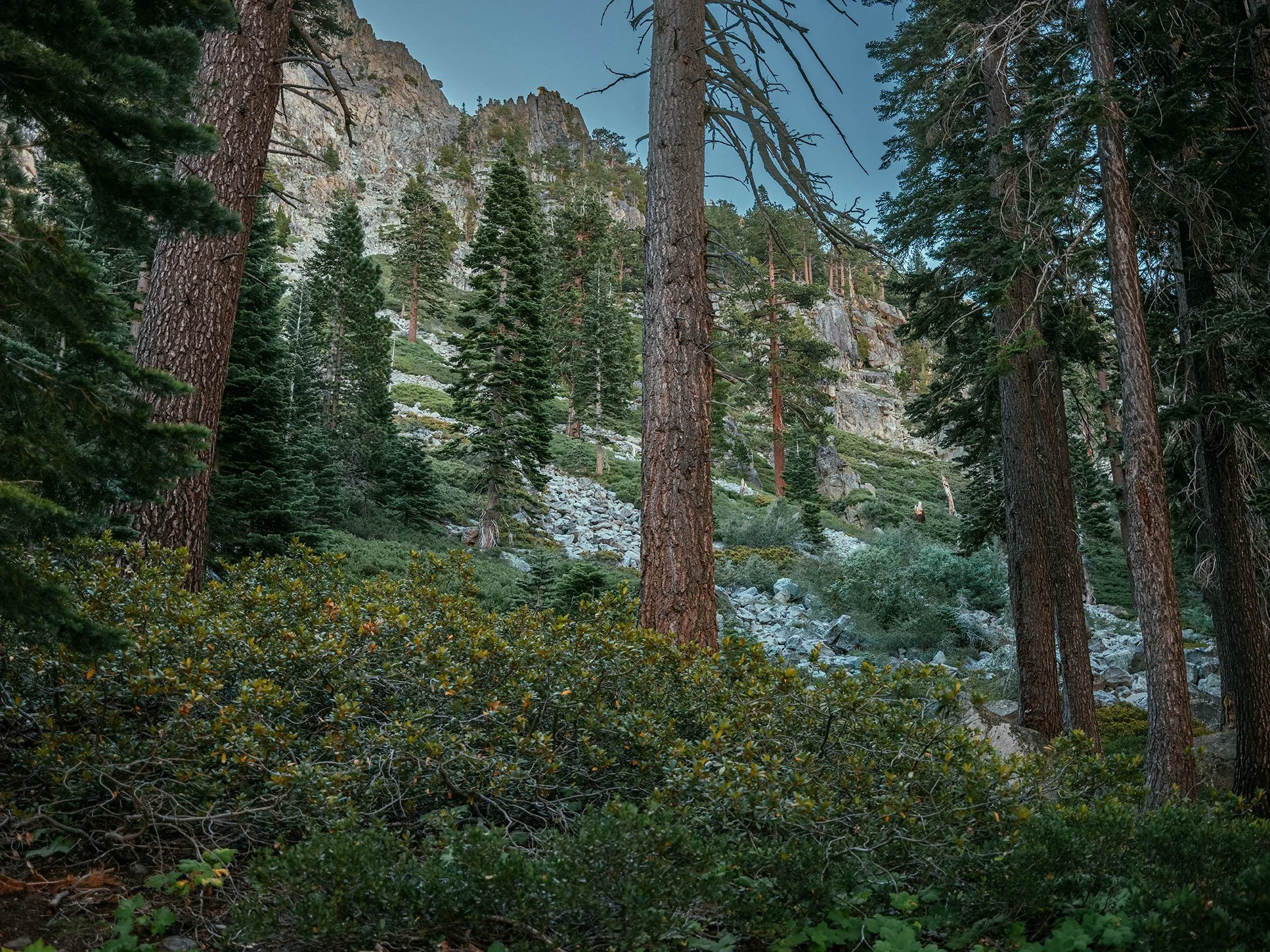 Kevin_Layton_Lake_Tahoe_0137.jpg