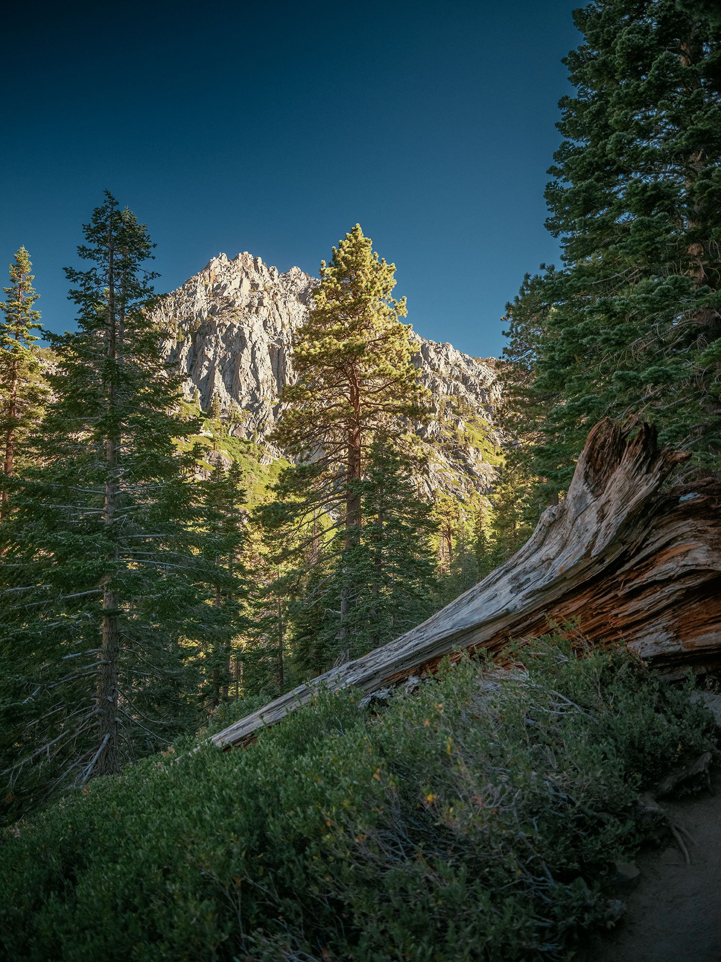 Kevin_Layton_Lake_Tahoe_0195.jpg