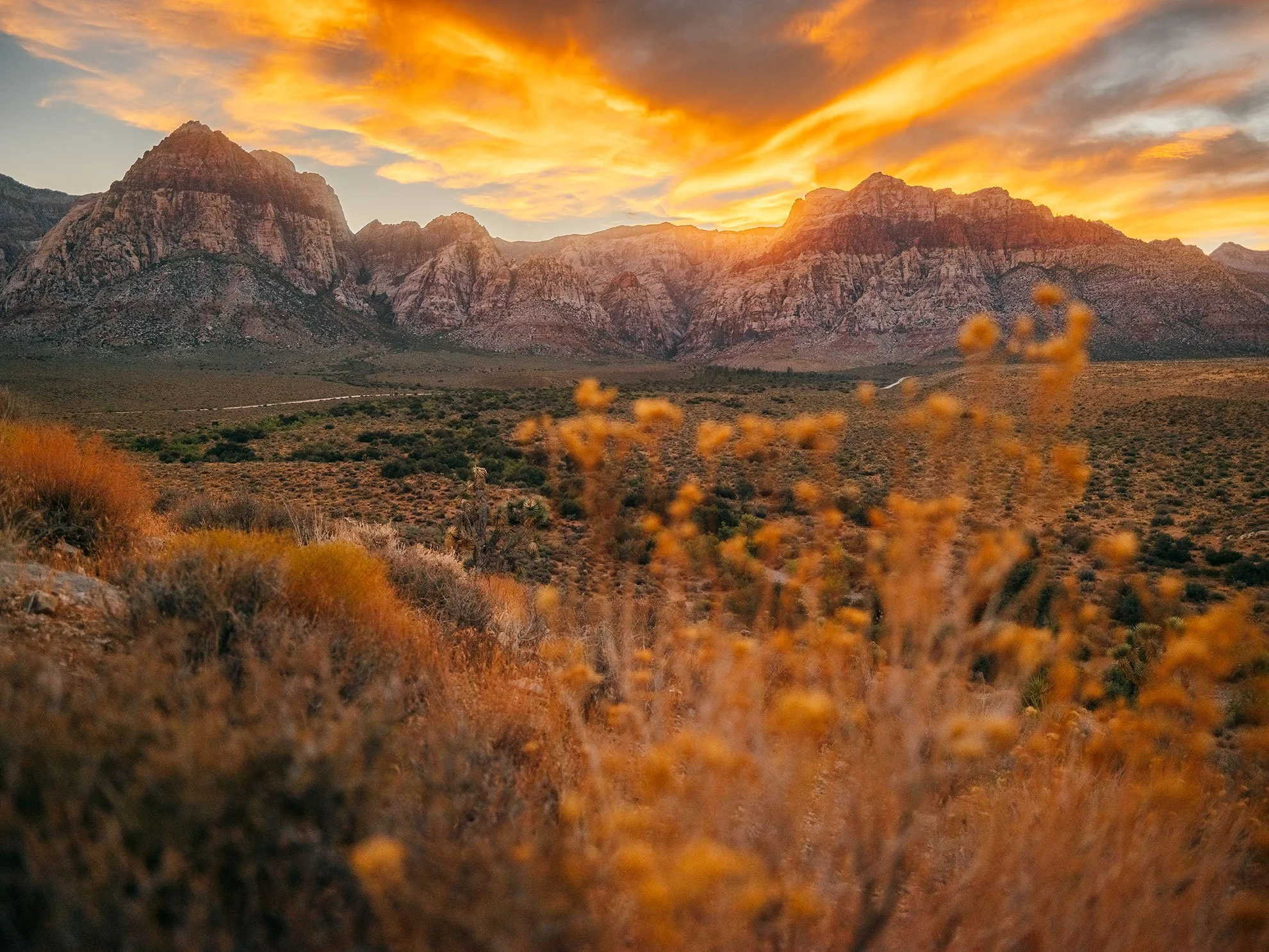 Kevin_Layton_26_Red_Rock_Canyon_0014.jpg