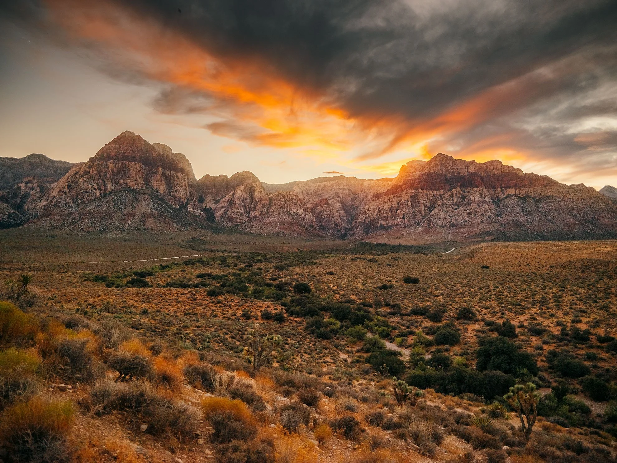 Kevin_Layton_26_Red_Rock_Canyon_0015.jpg