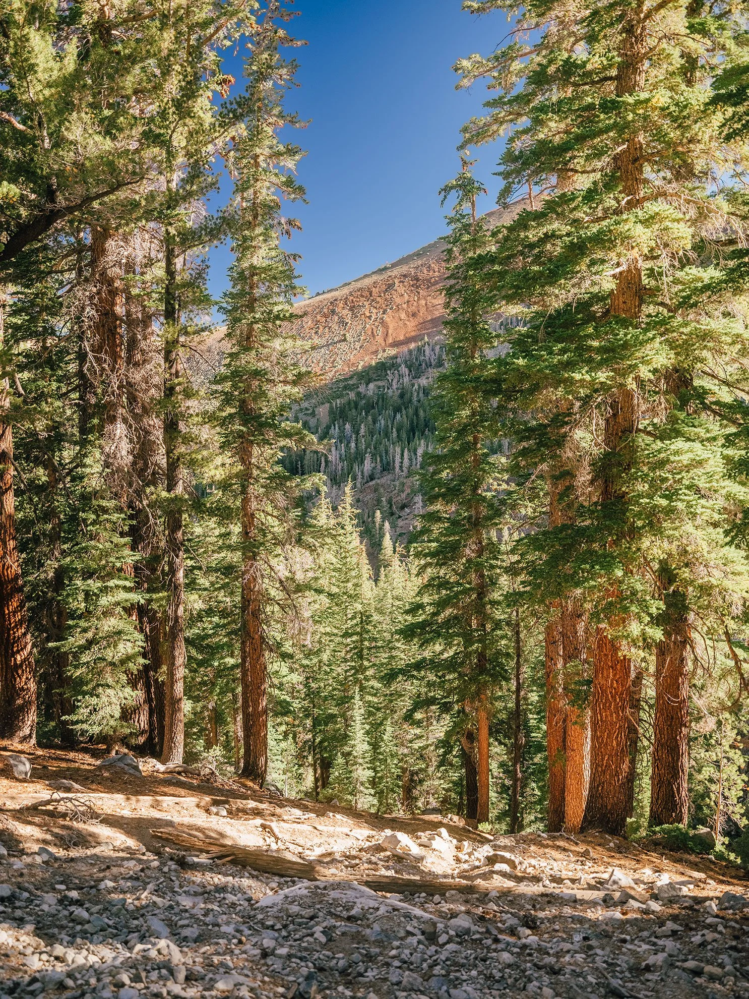 26_Mammoth,-Ca_10036.jpg