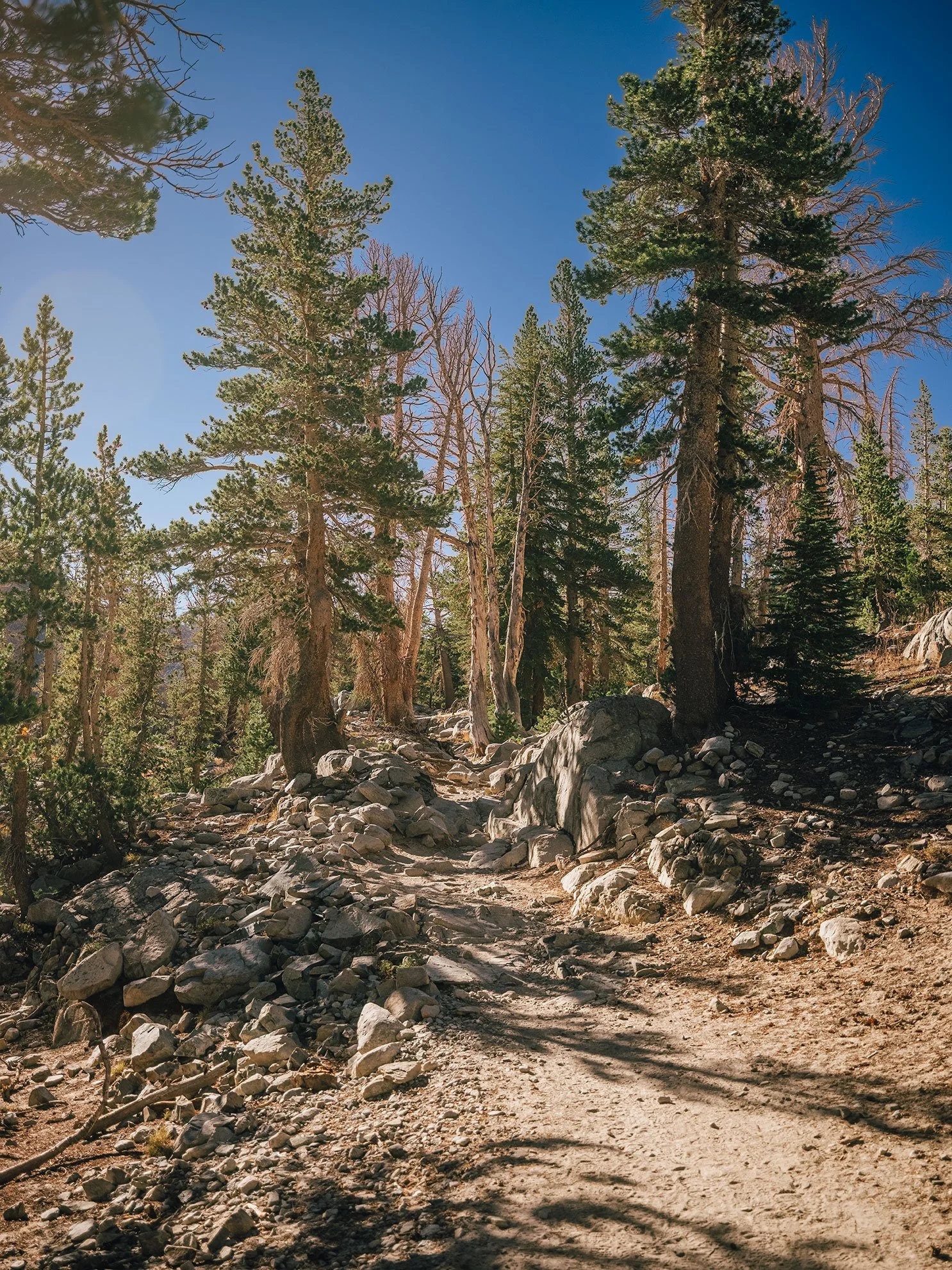 26_Mammoth,-Ca_10041.jpg