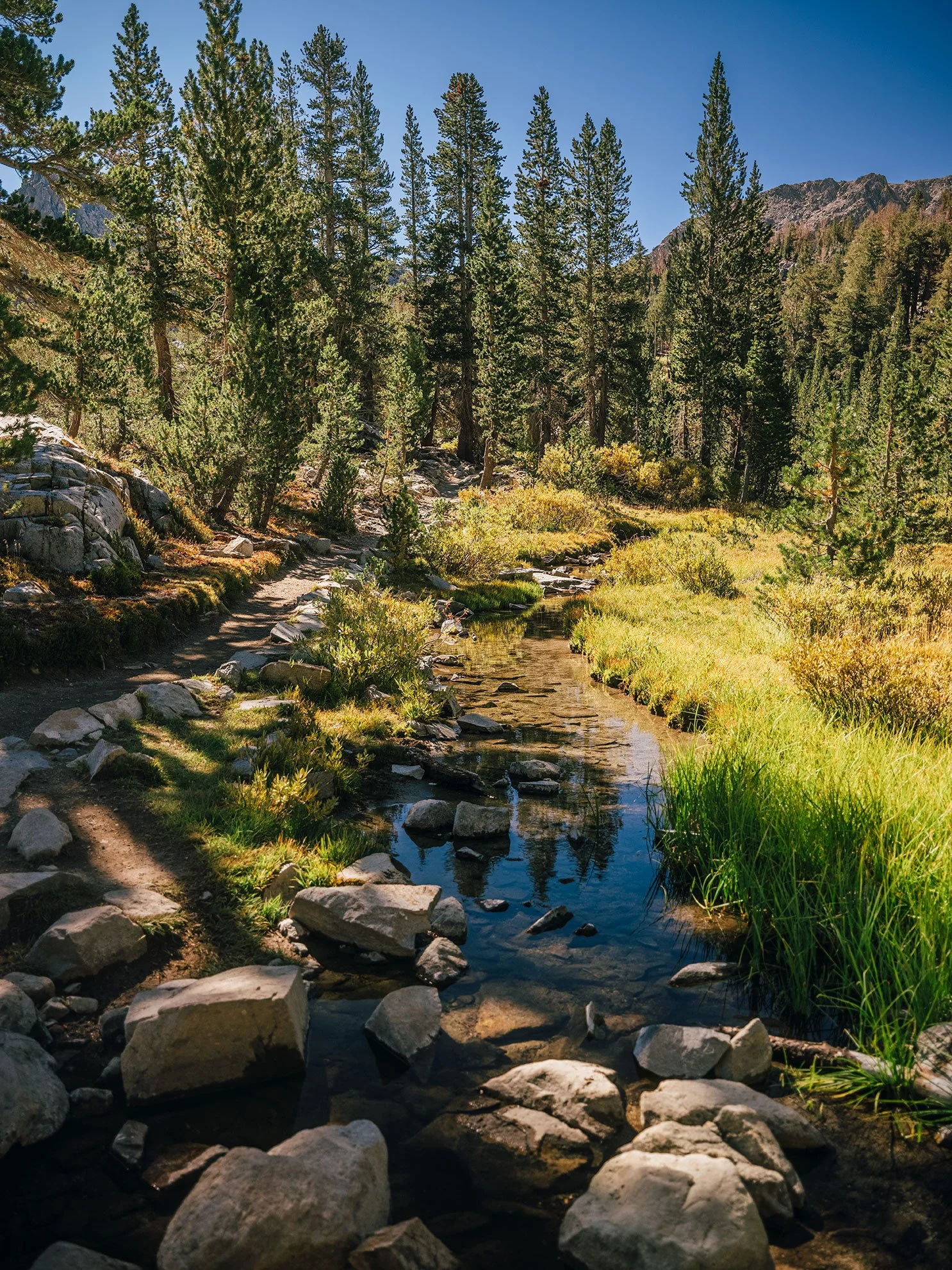 26_Mammoth,-Ca_10051.jpg