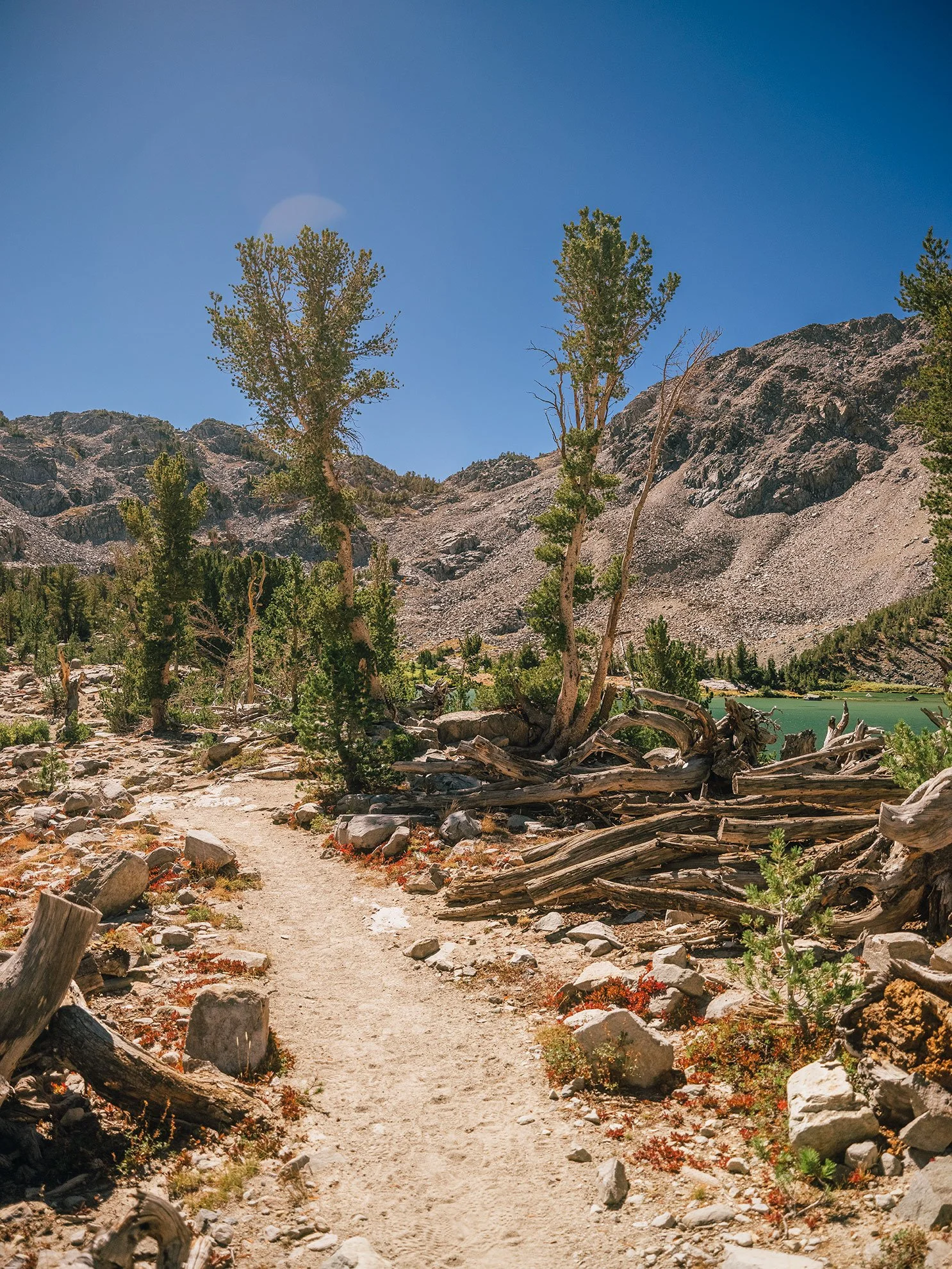 26_Mammoth,-Ca_10062.jpg