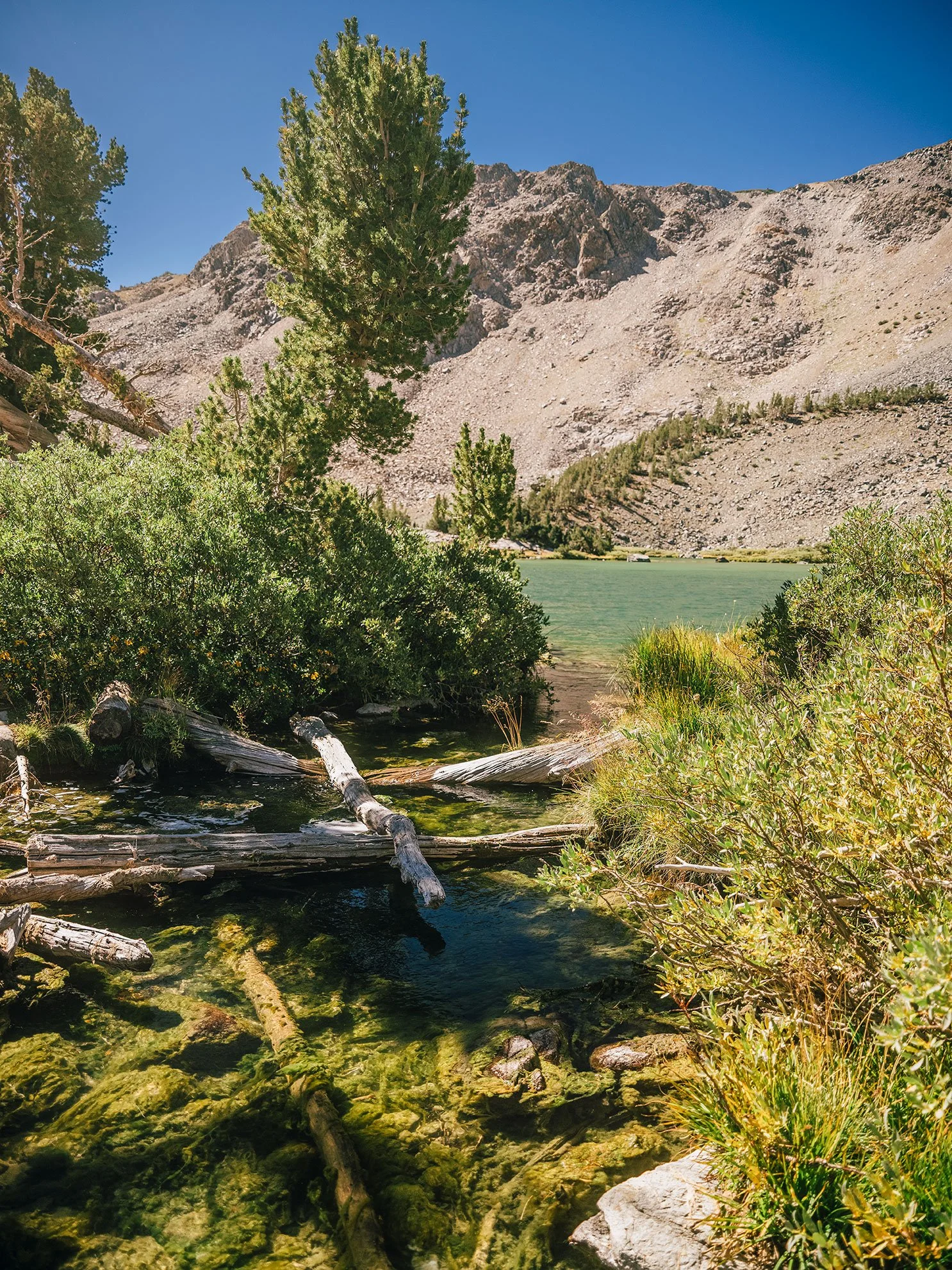 26_Mammoth,-Ca_10065.jpg