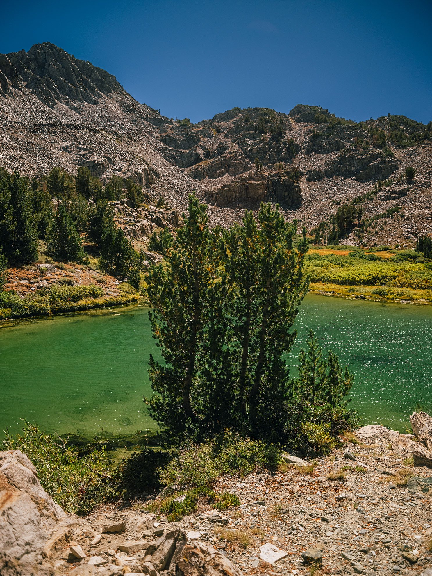 26_Mammoth,-Ca_10066.jpg
