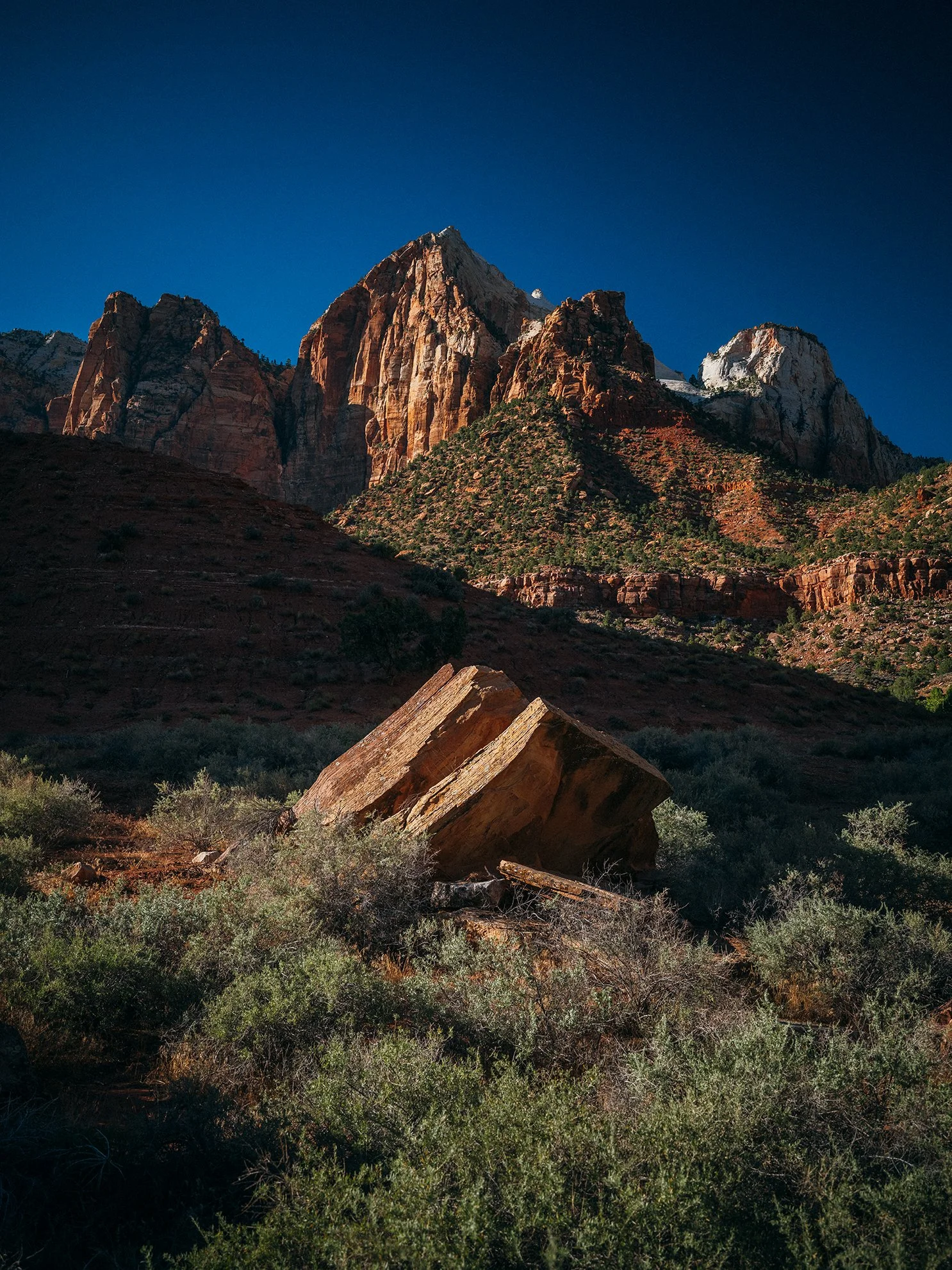 26_Zion_National_Park_0016.jpg