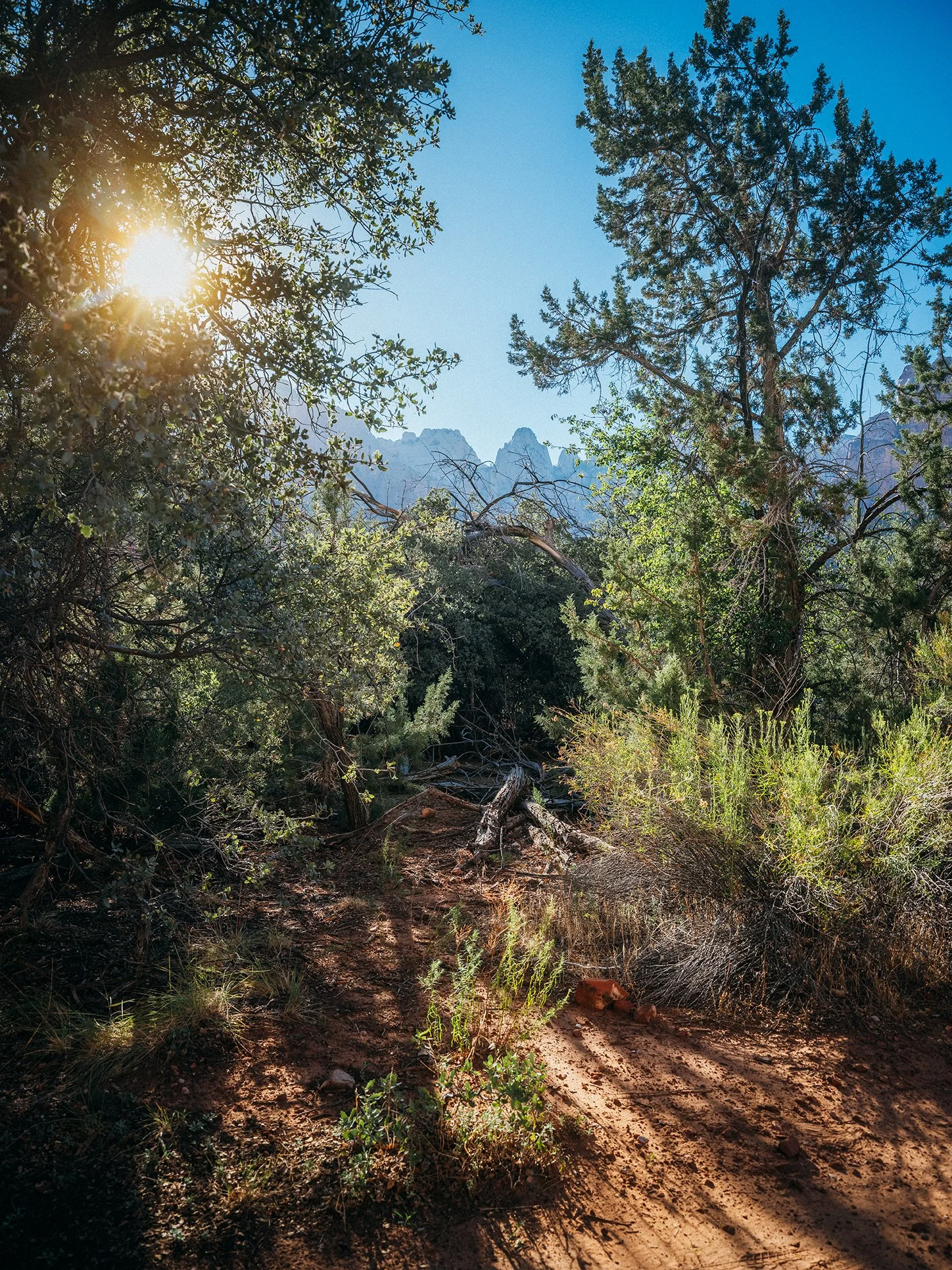 26_Zion_National_Park_0025.jpg