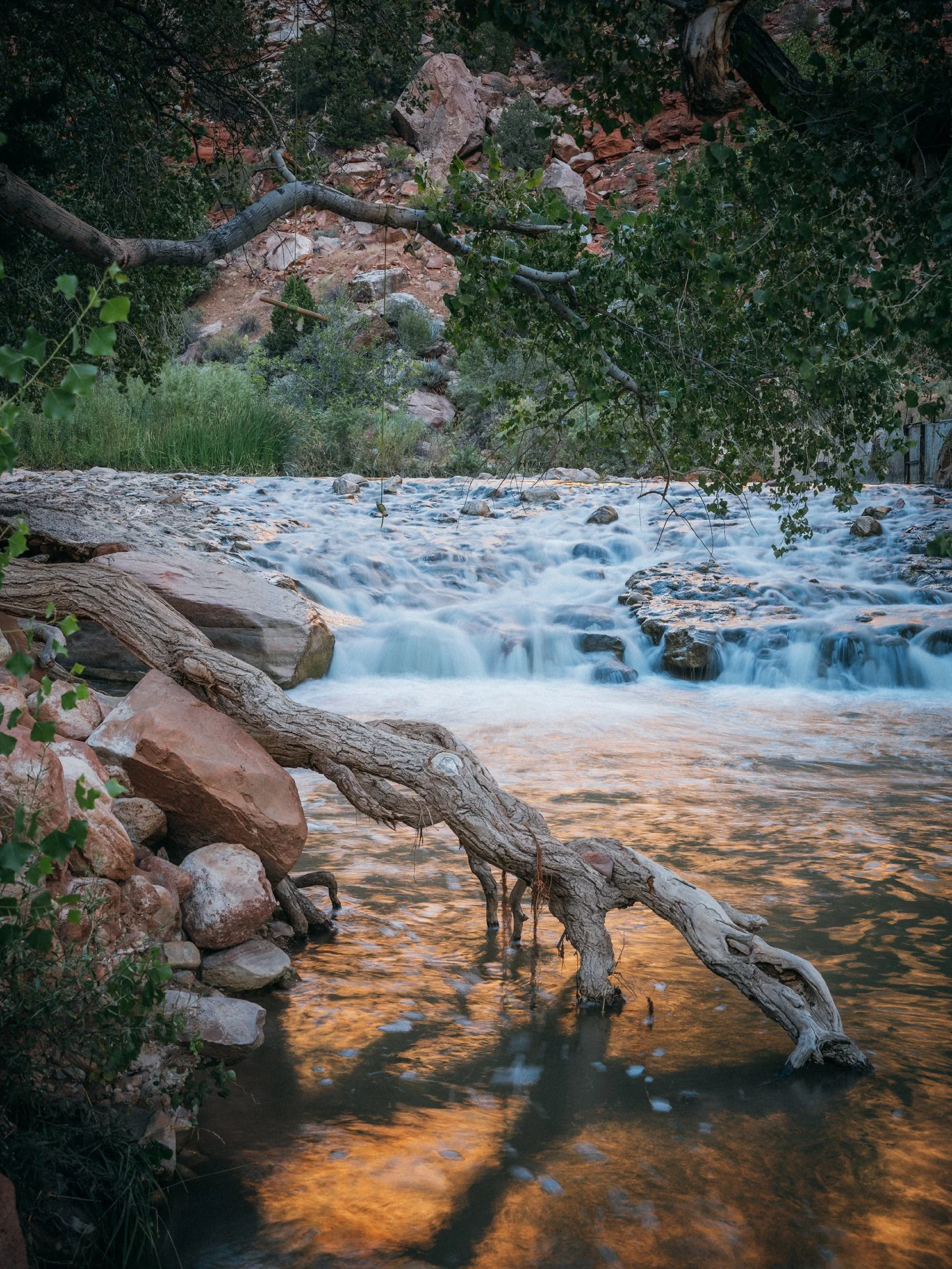 26_Zion_National_Park_0037.jpg