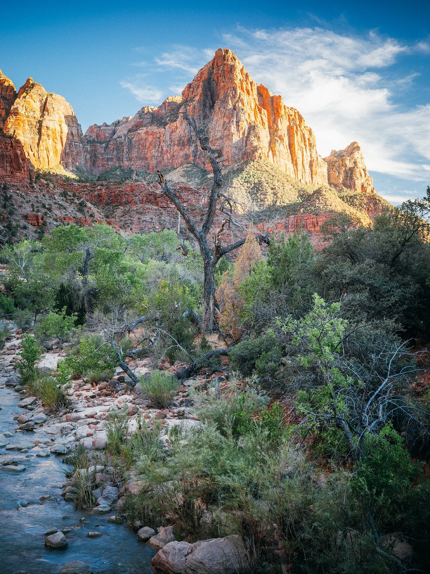 26_Zion_National_Park_0043.jpg