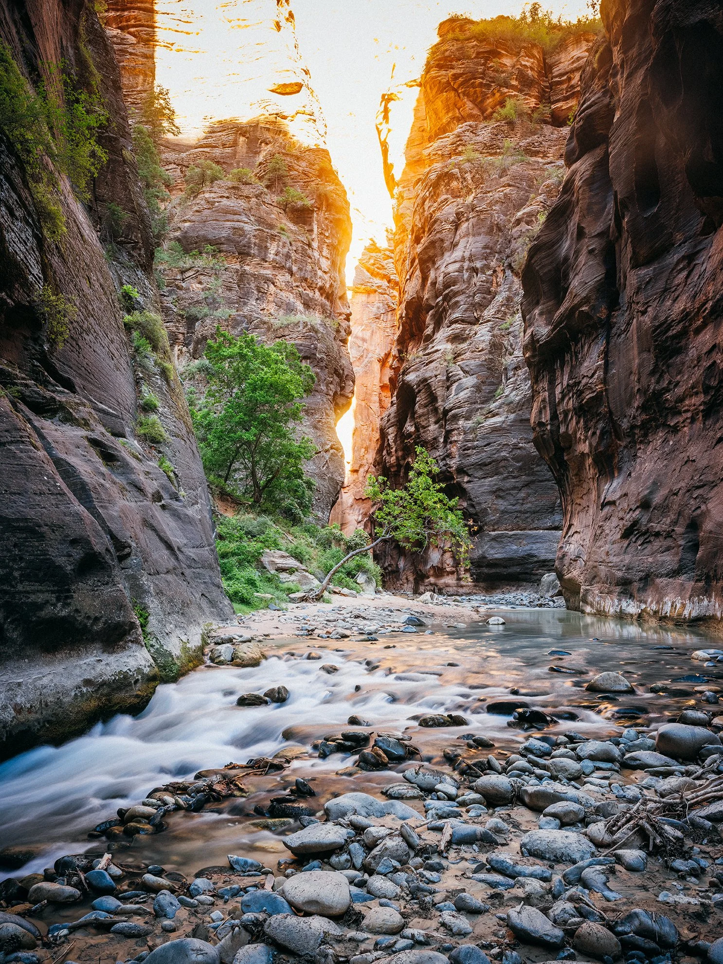 26_Zion_National_Park_0054.jpg