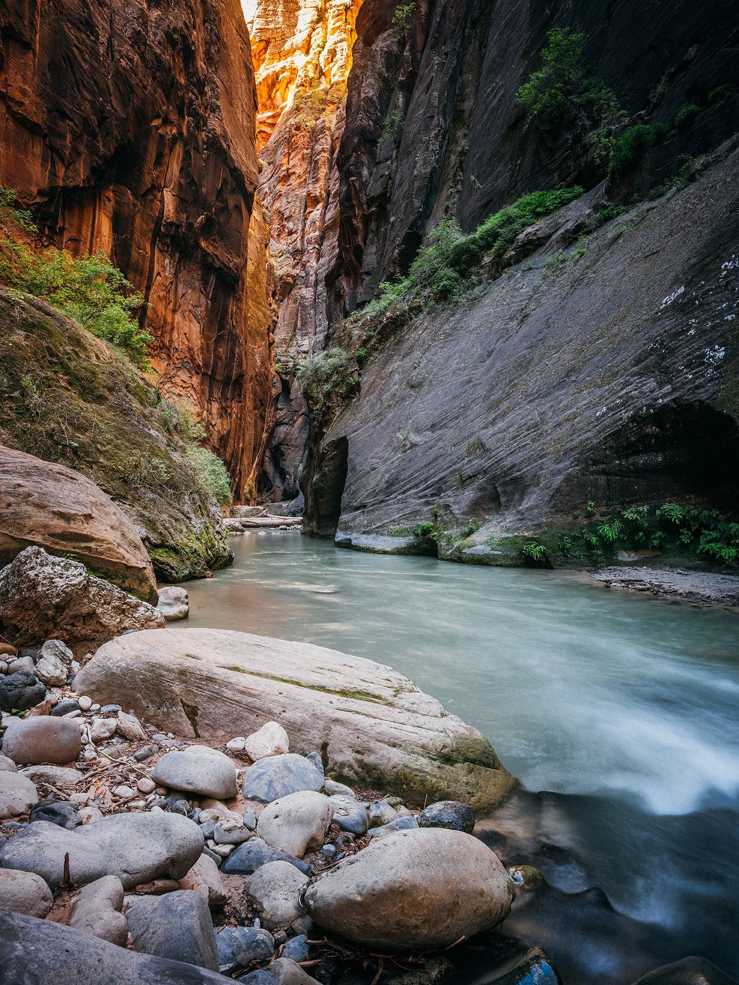 26_Zion_National_Park_0059.jpg