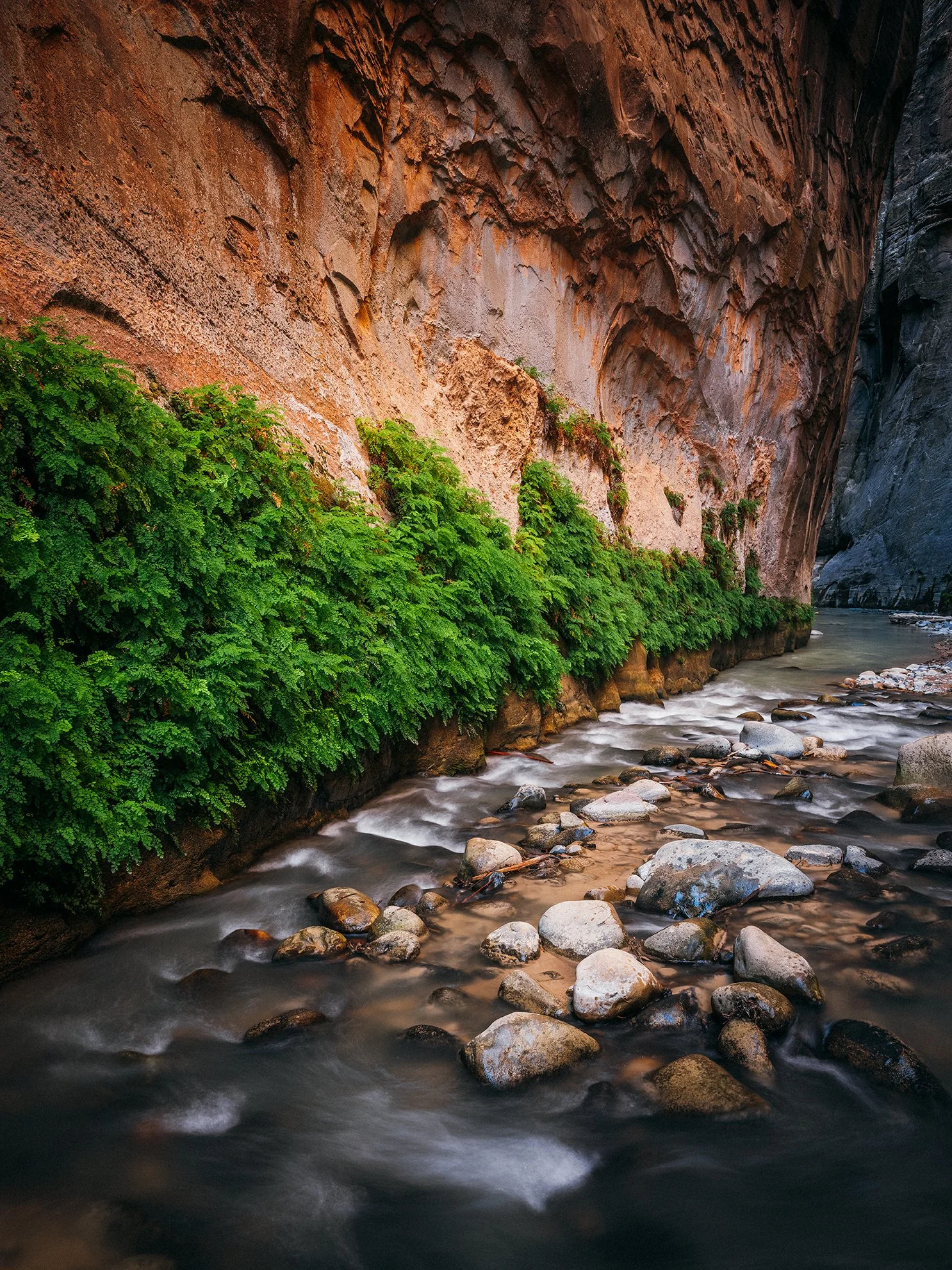26_Zion_National_Park_0060.jpg