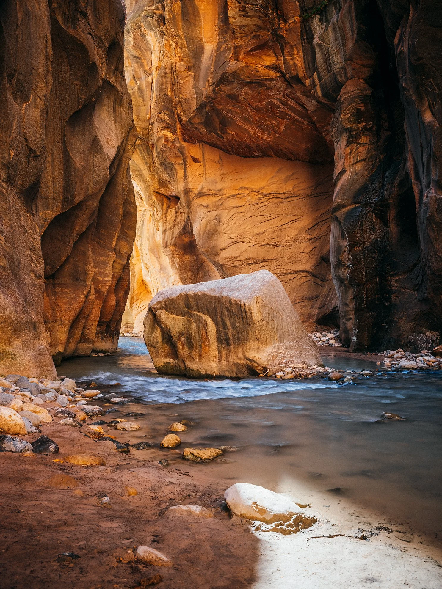 26_Zion_National_Park_0062.jpg
