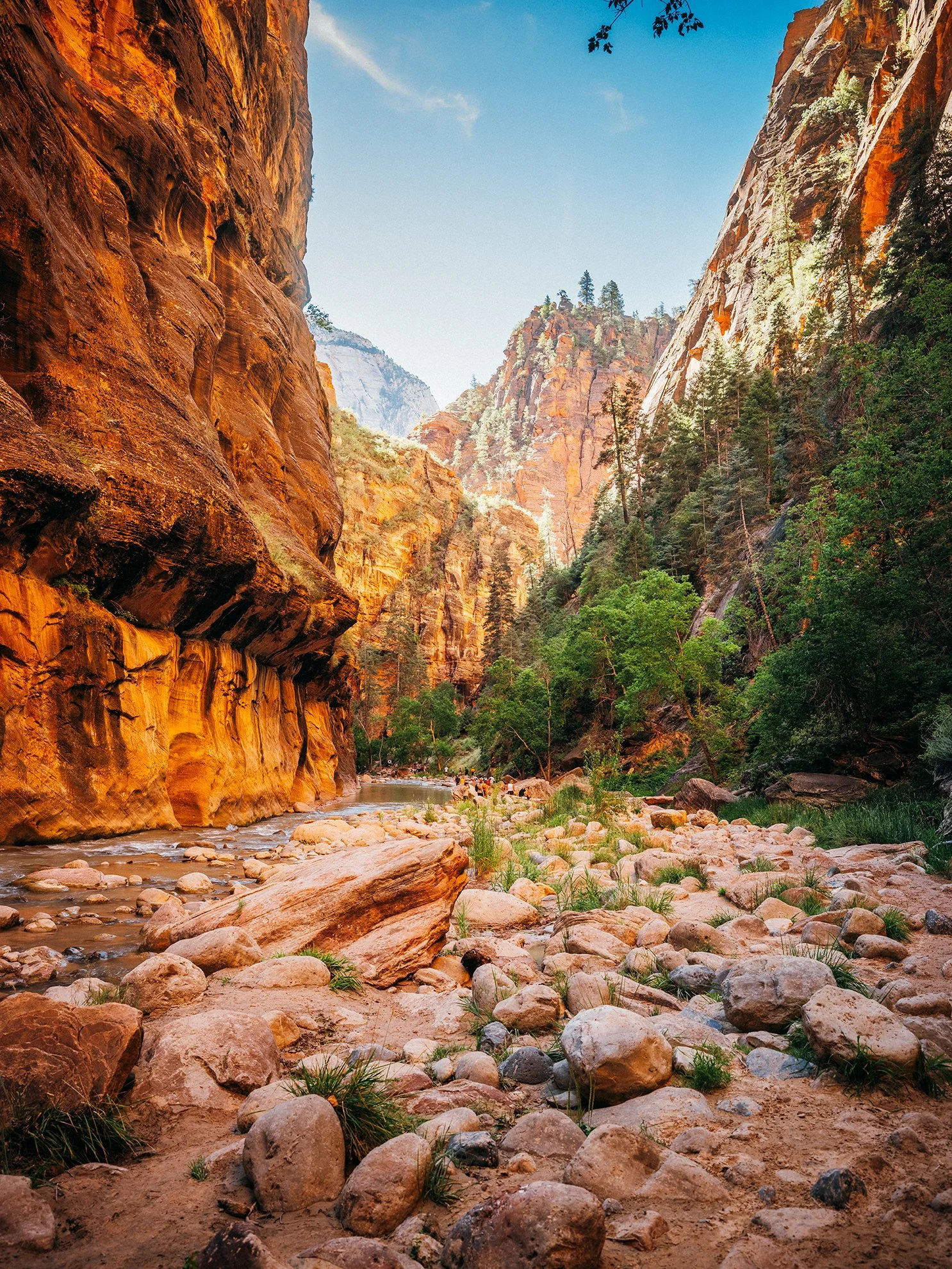 26_Zion_National_Park_0066.jpg