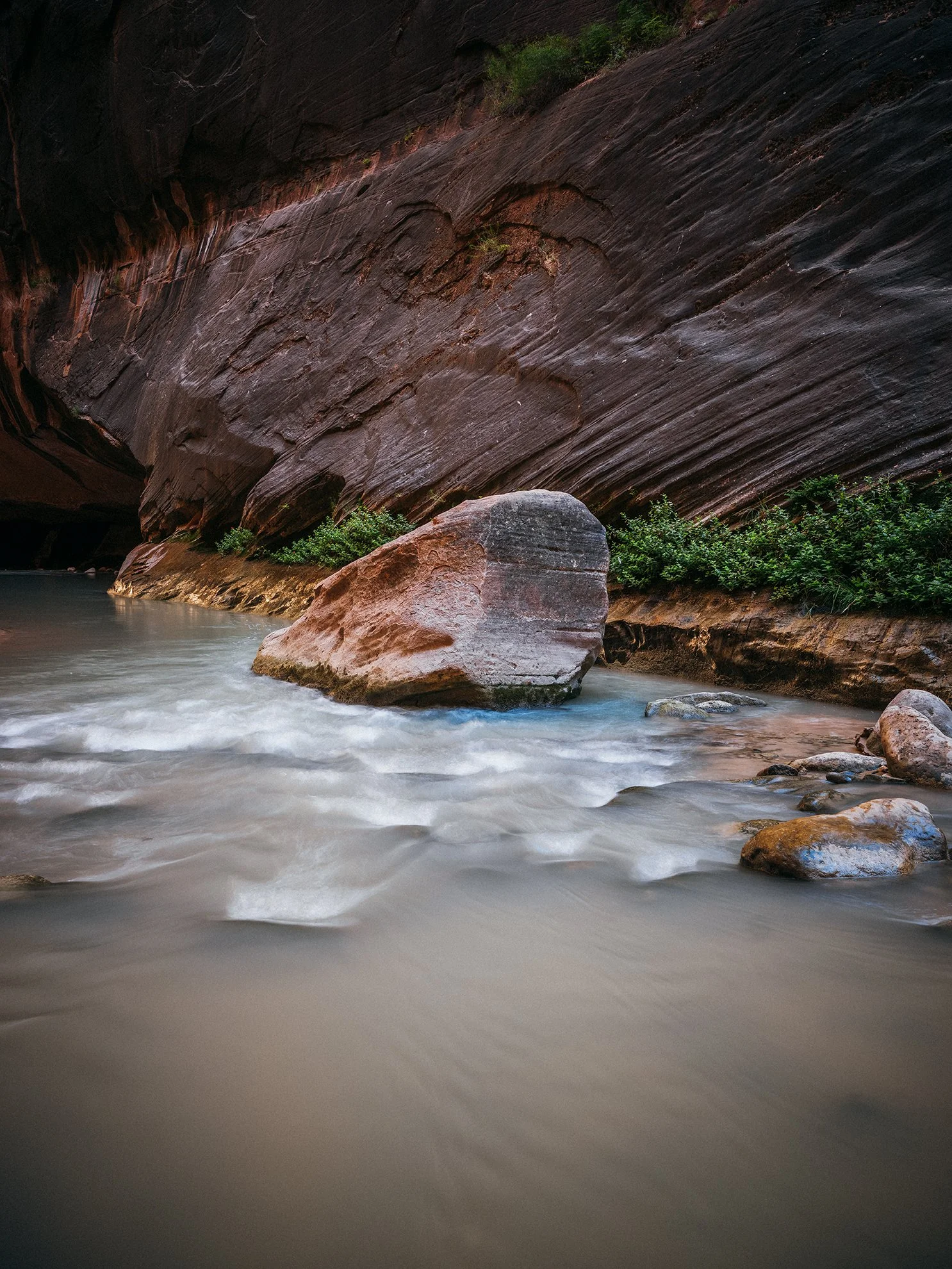 26_Zion_National_Park_0070.jpg