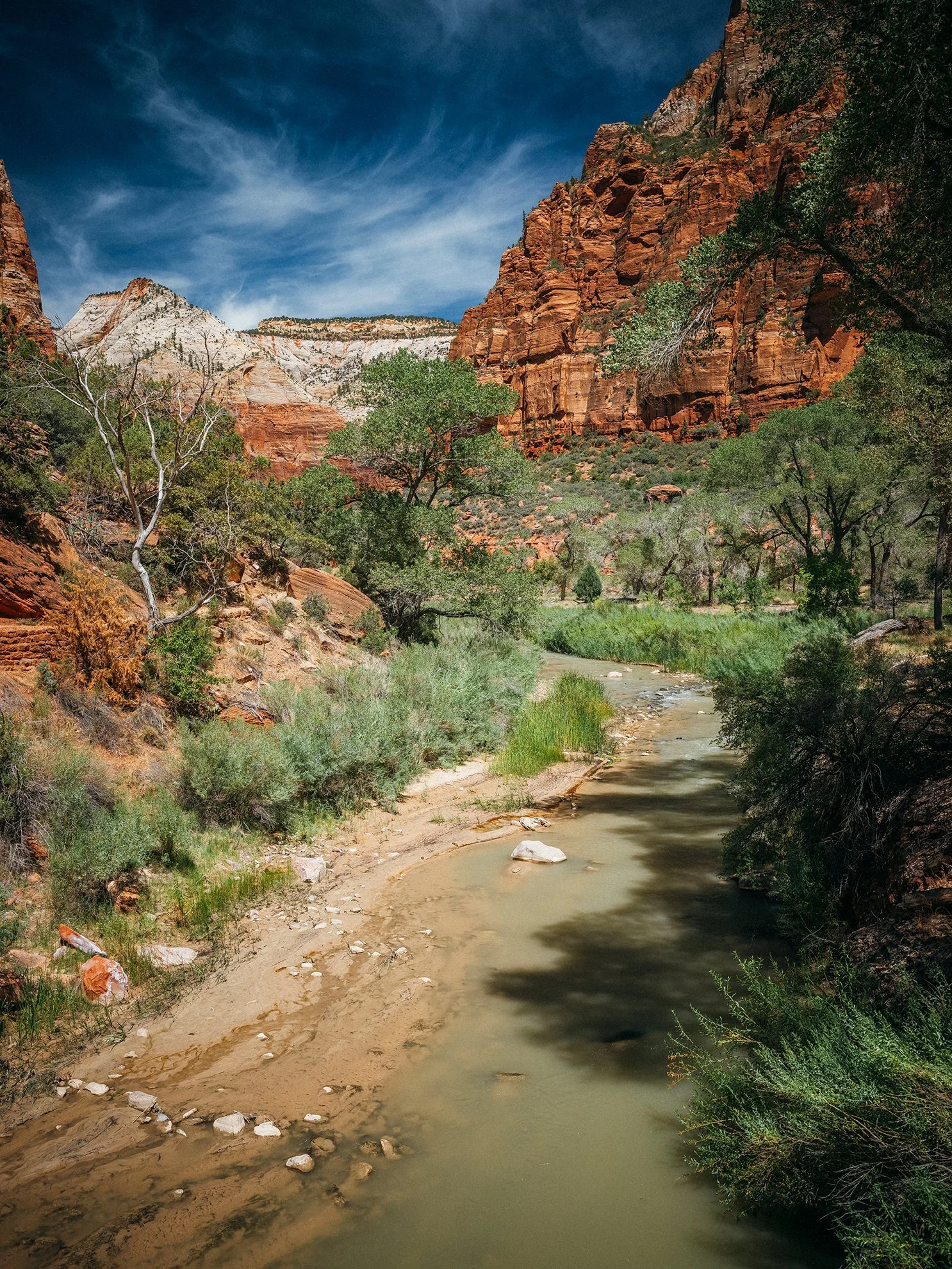 26_Zion_National_Park_0095.jpg