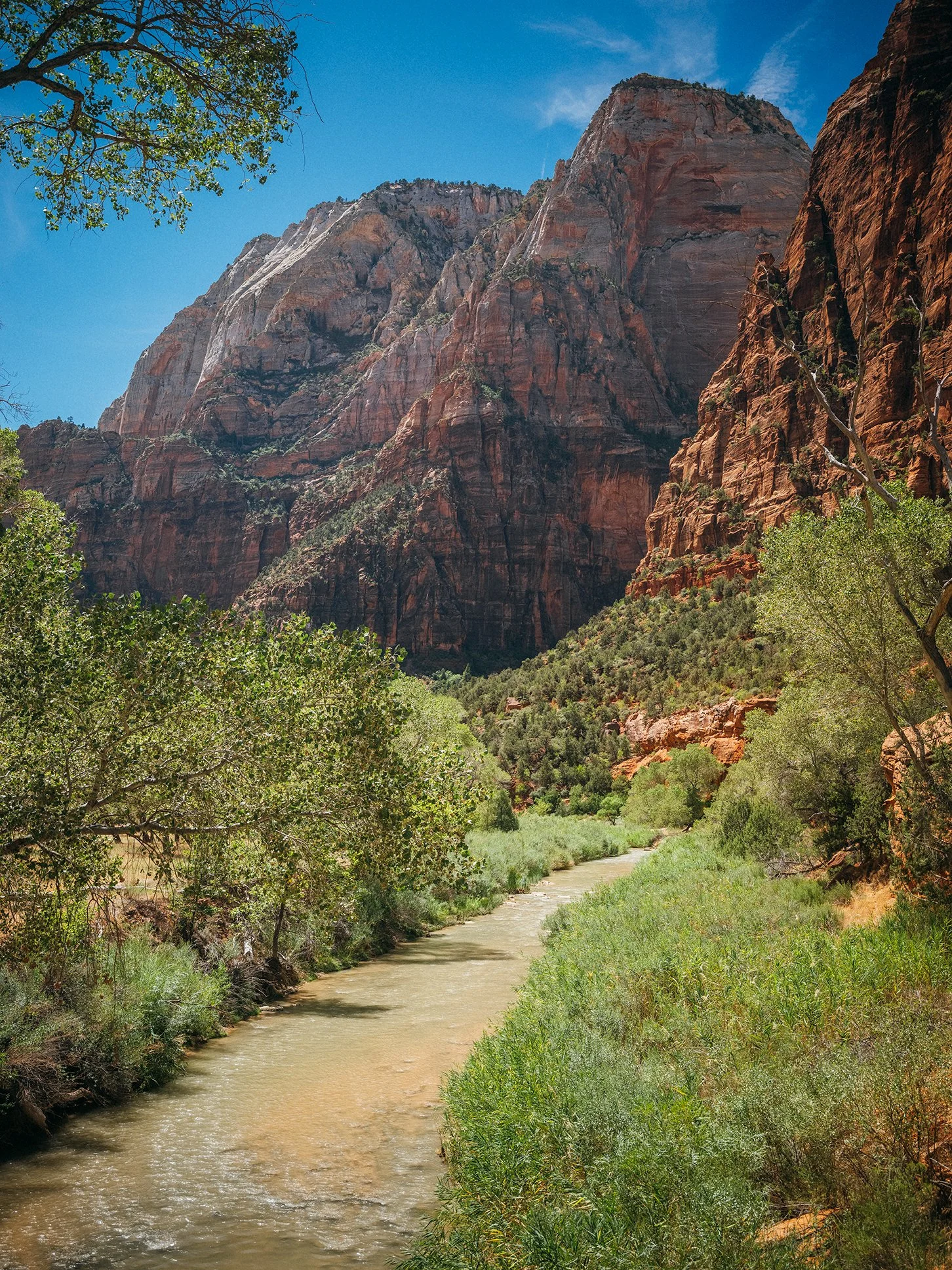 26_Zion_National_Park_0098.jpg