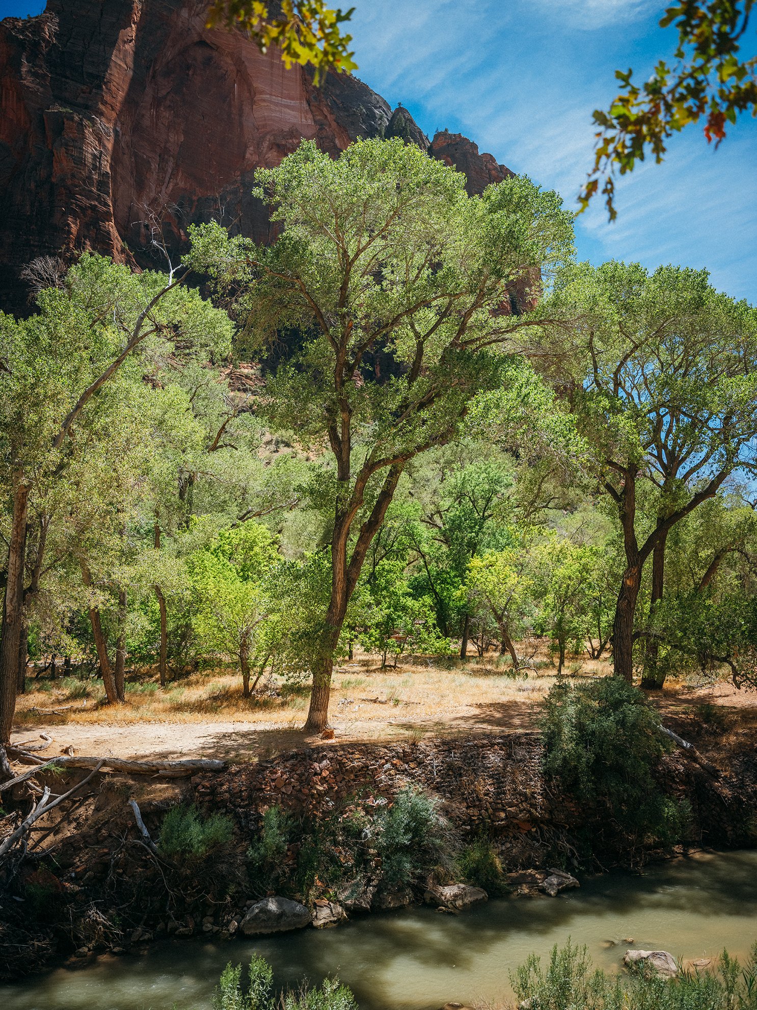 26_Zion_National_Park_0105.jpg