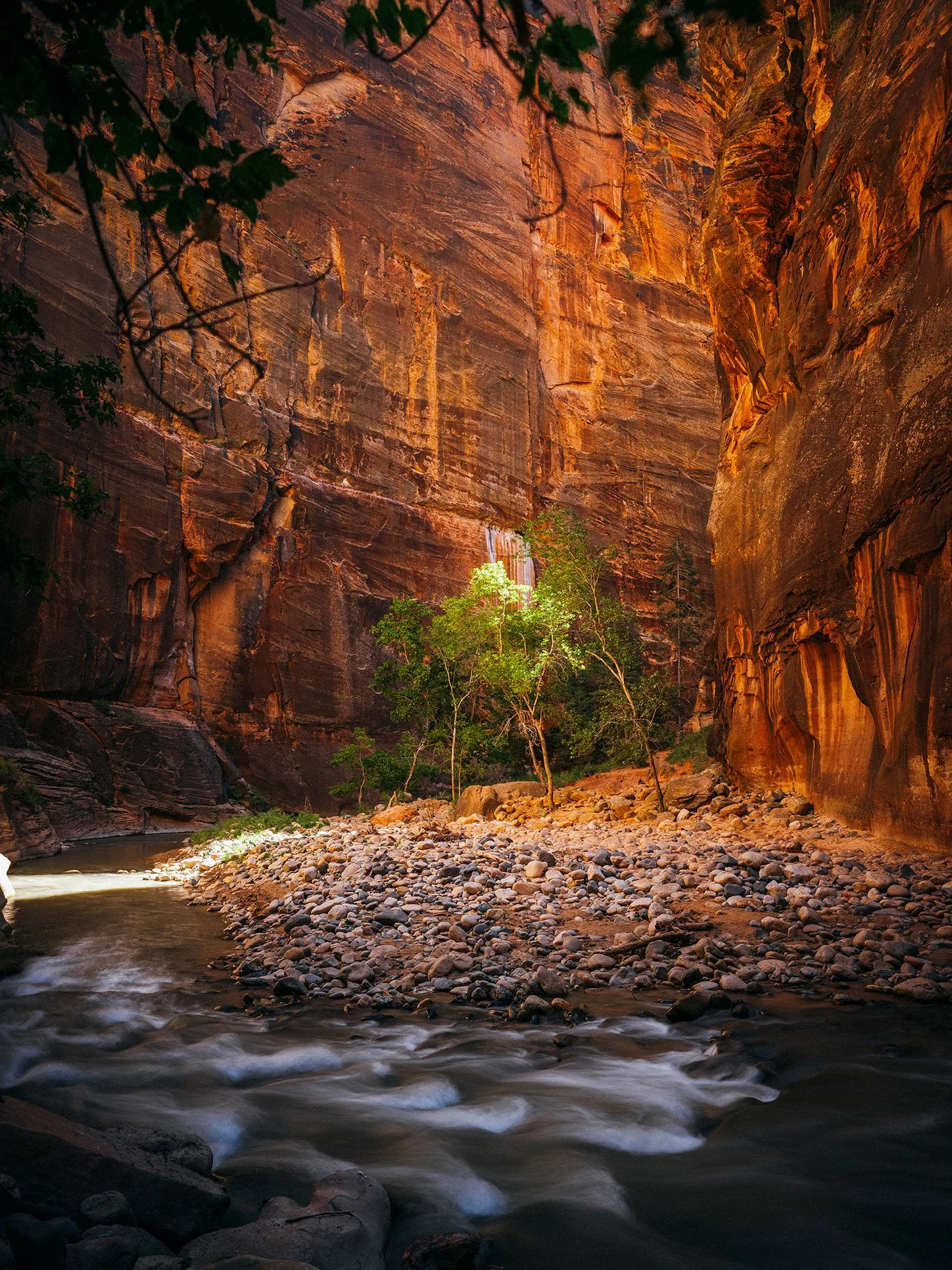 26_Zion_National_Park_0074.jpg
