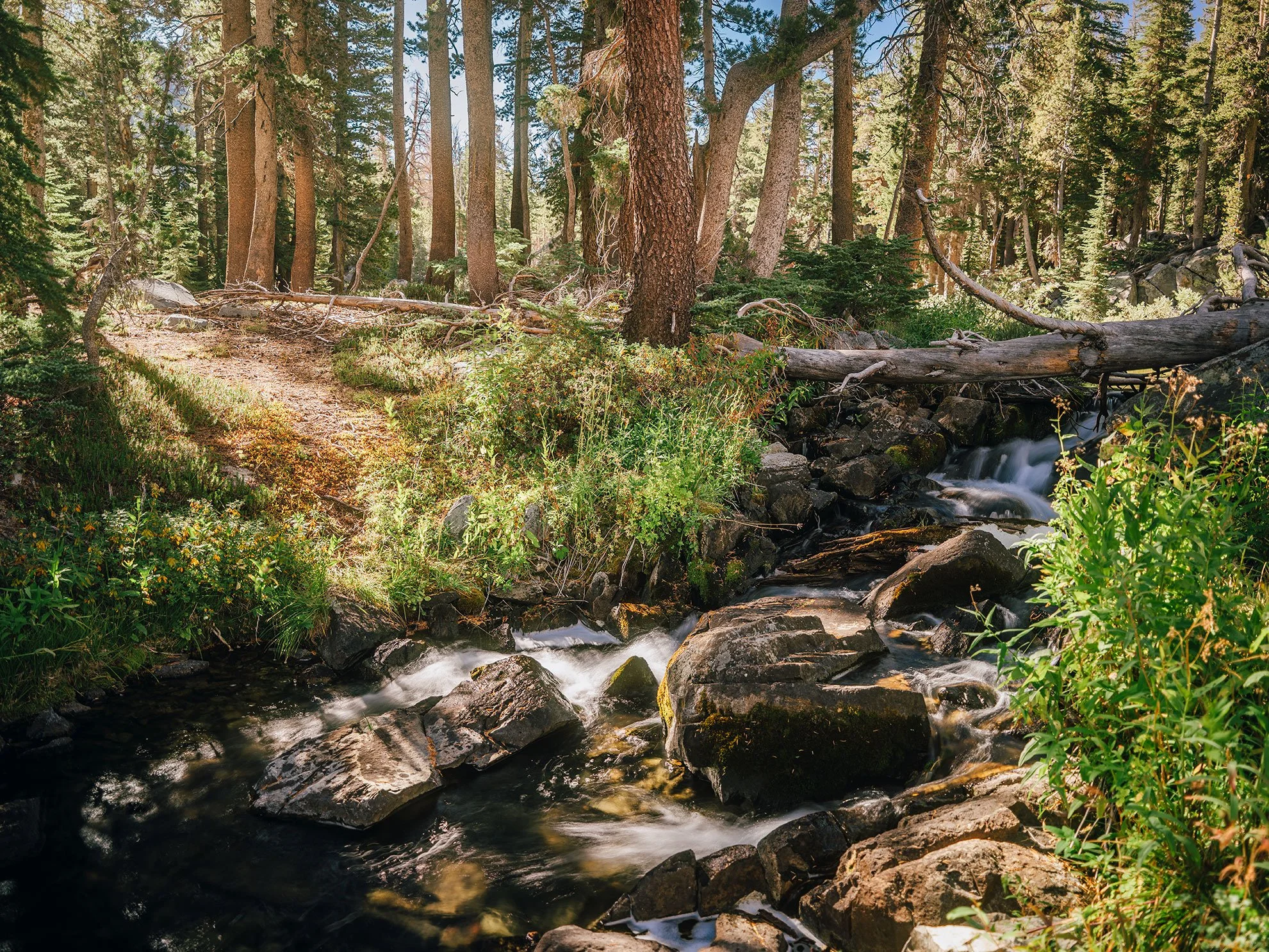 26_Mammoth-Lakes,-Ca_0048.jpg