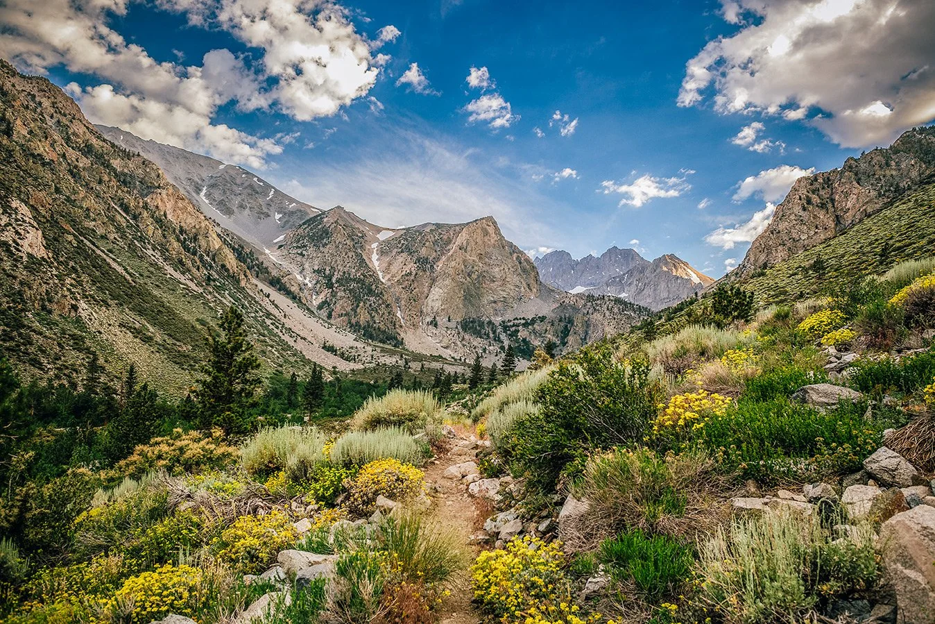 Mammoth_26.jpg