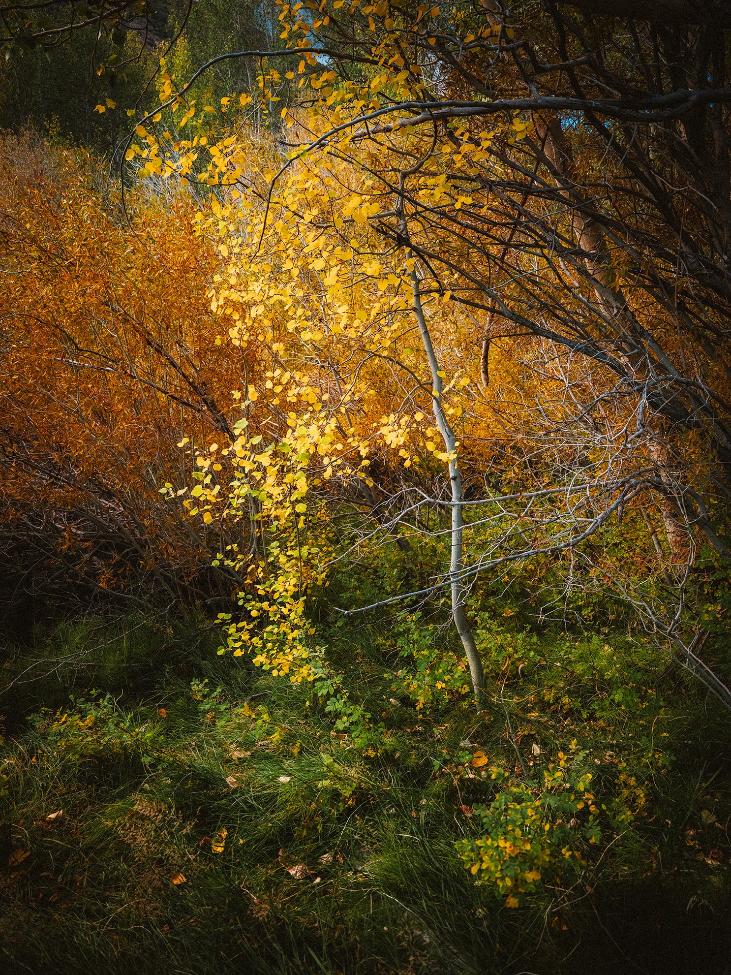 Convict_Lake_KLPhoto_0067.jpg