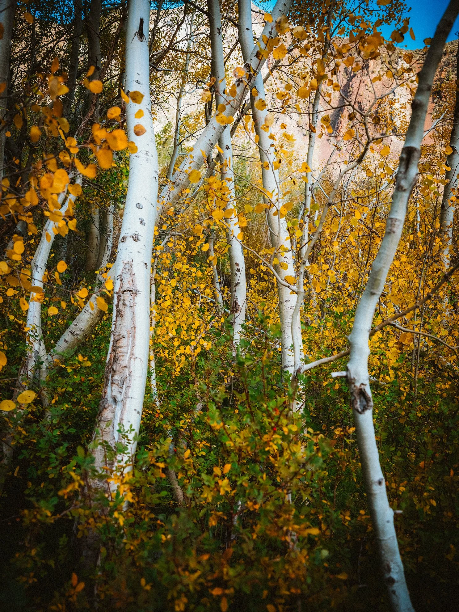 Convict_Lake_KLPhoto_0055.jpg
