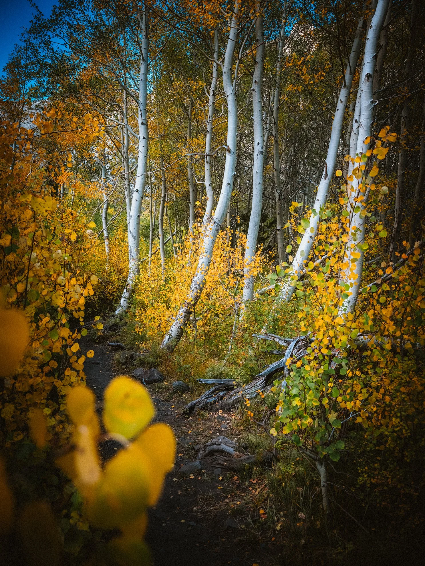 Convict_Lake_KLPhoto_0051.jpg