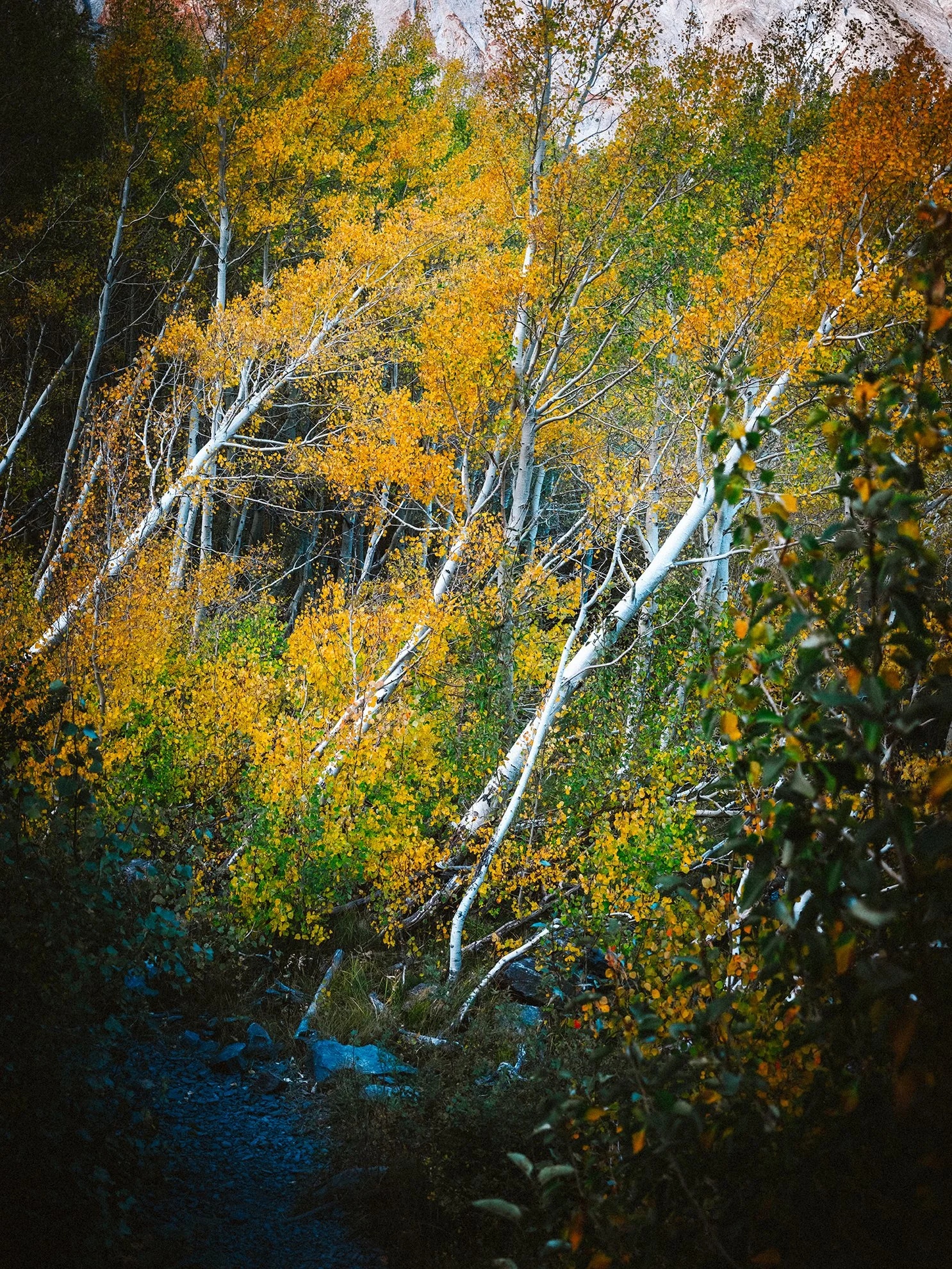 Convict_Lake_KLPhoto_0044.jpg