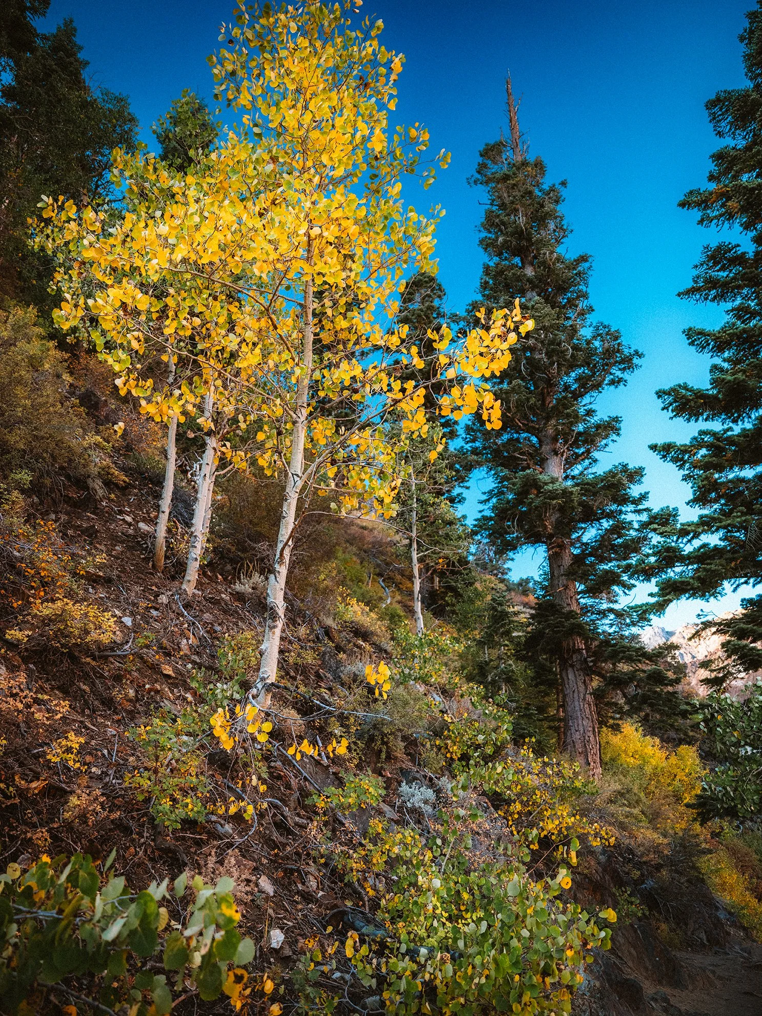 Convict_Lake_KLPhoto_0030.jpg