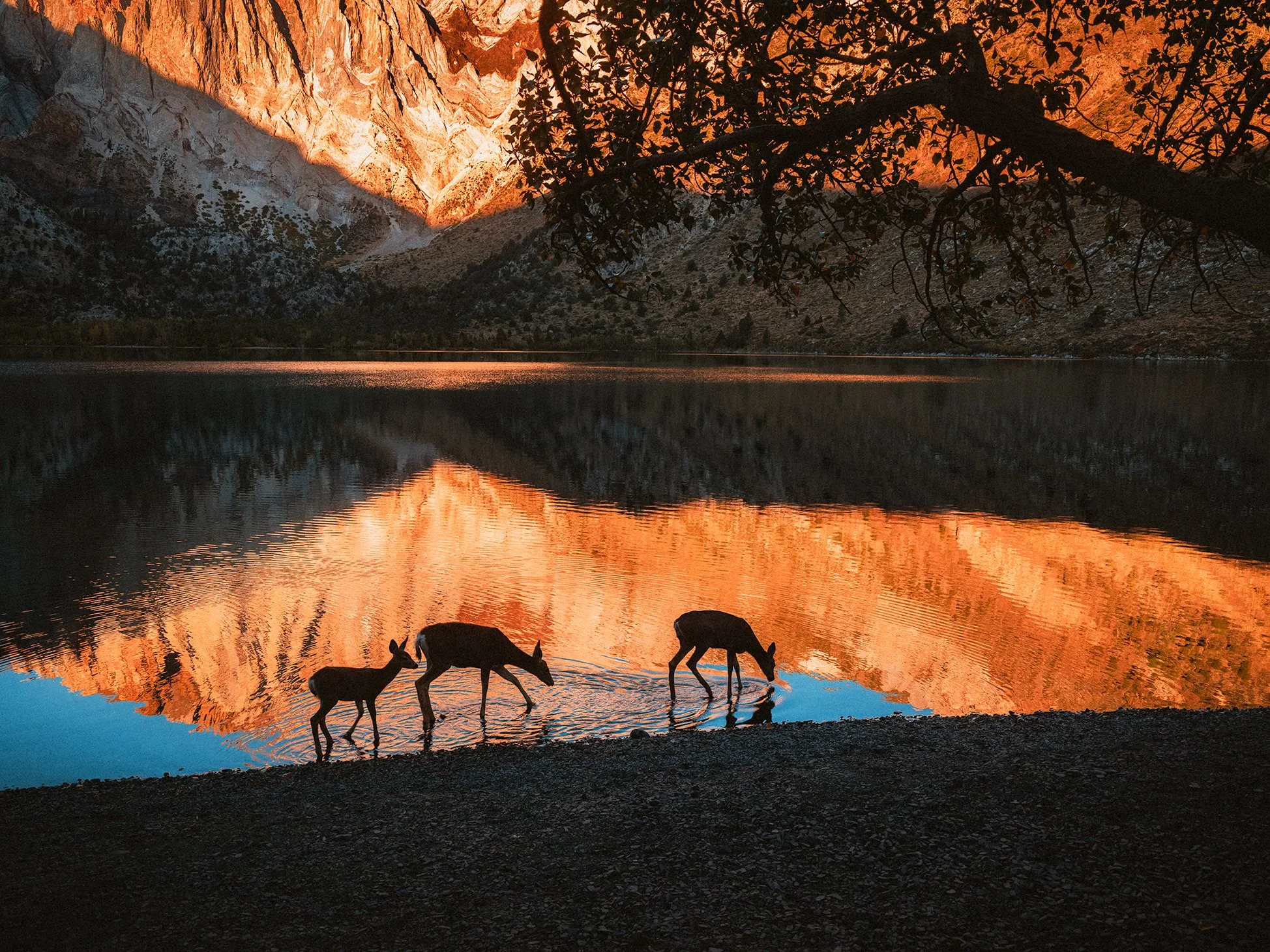 Convict_Lake_KLPhoto_0016.jpg