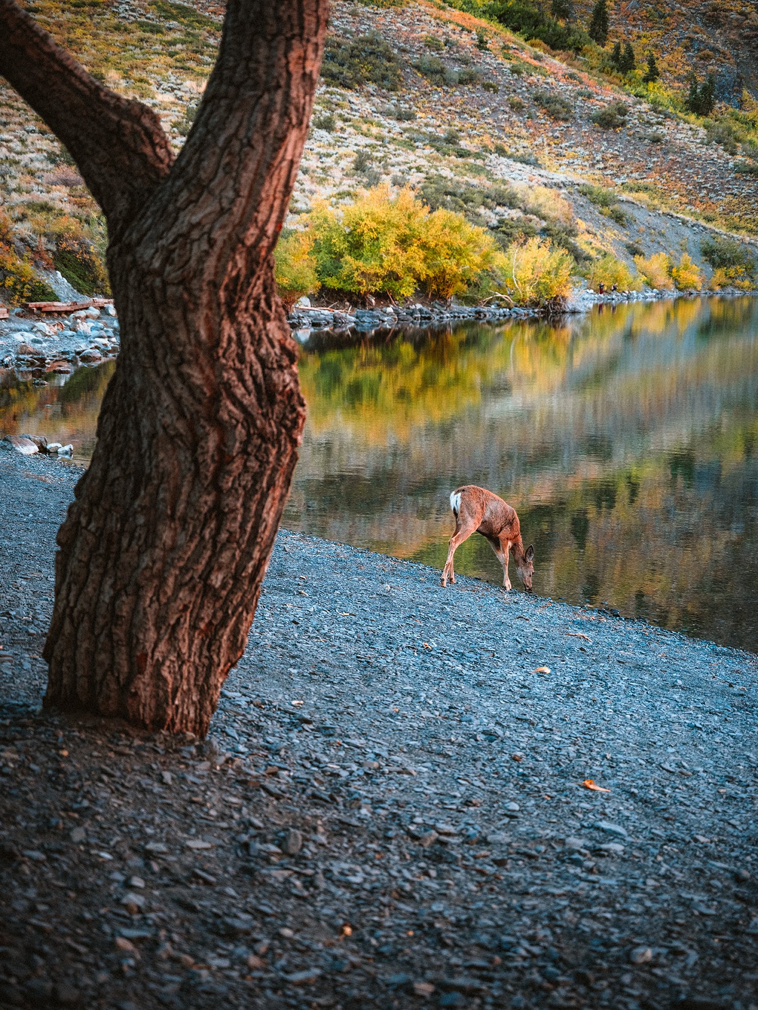 Convict_Lake_KLPhoto_0013.jpg