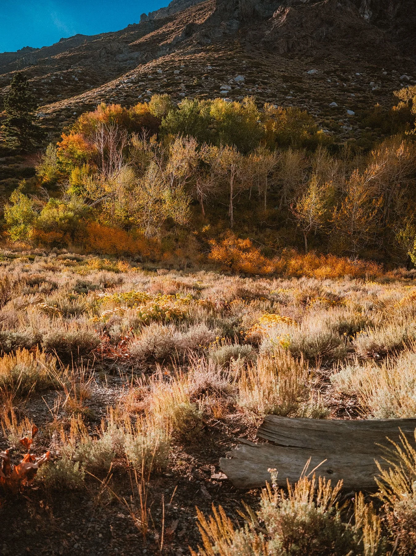 McGee_Creek_KLPhoto_0003.jpg