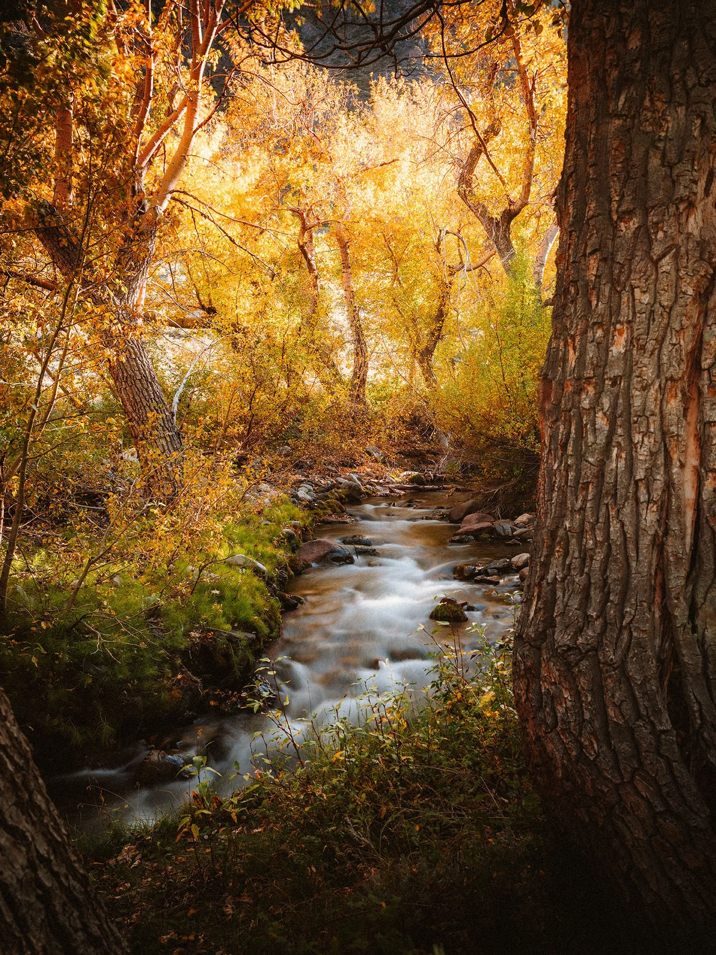 McGee_Creek_KLPhoto_0012.jpg
