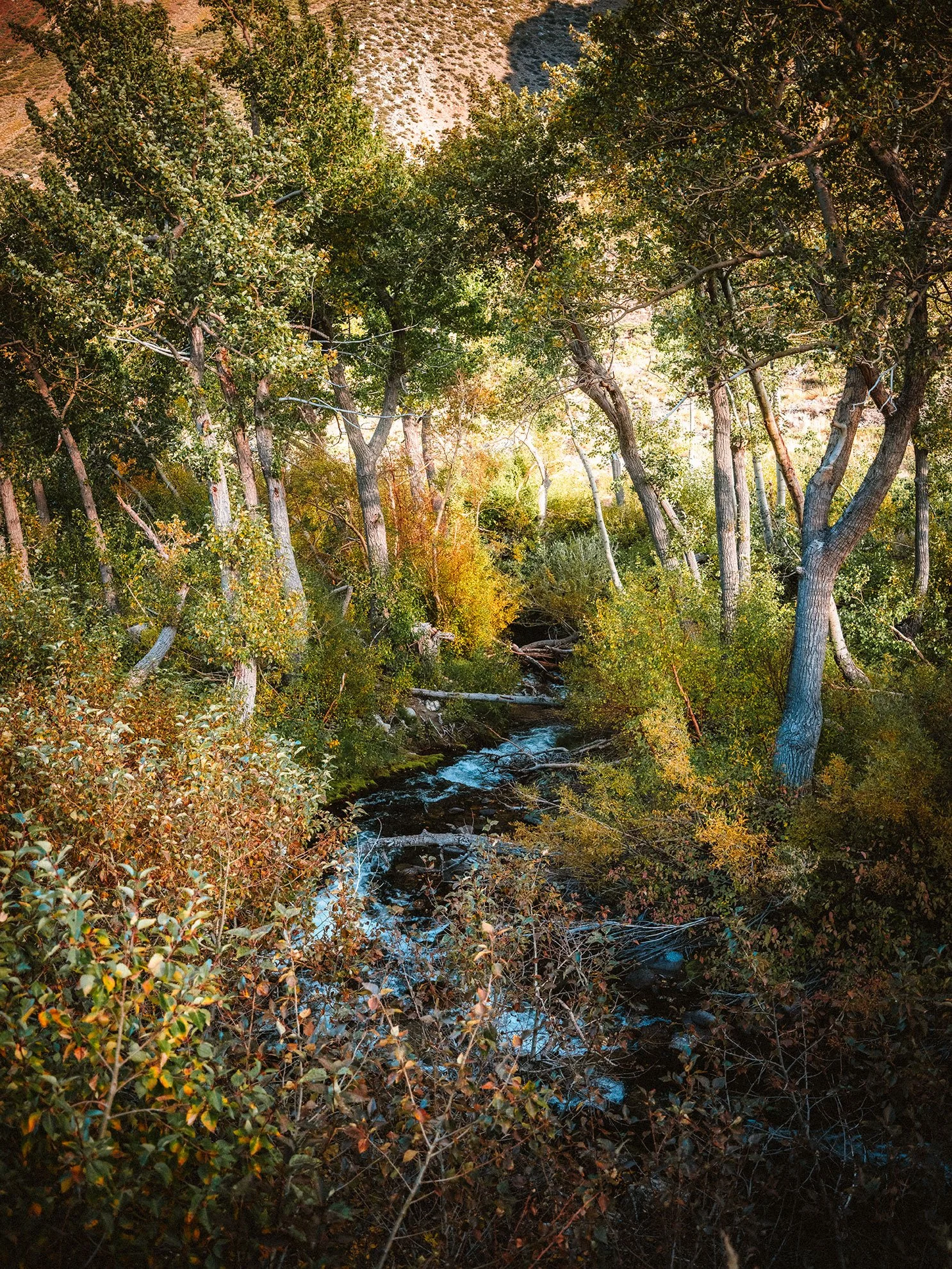 McGee_Creek_KLPhoto_0014.jpg