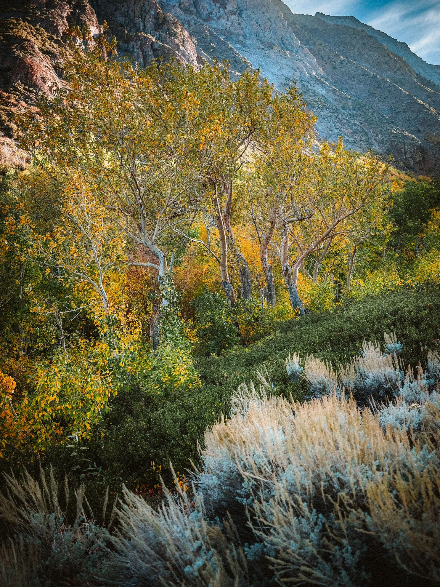 McGee_Creek_KLPhoto_0016.jpg