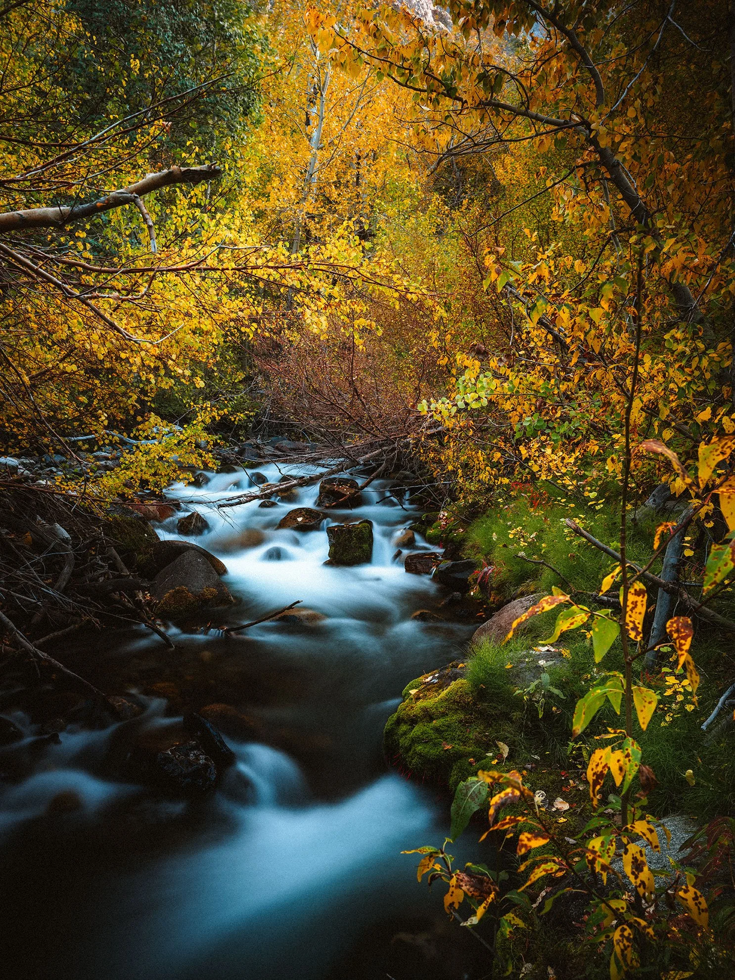 McGee_Creek_KLPhoto_0020.jpg