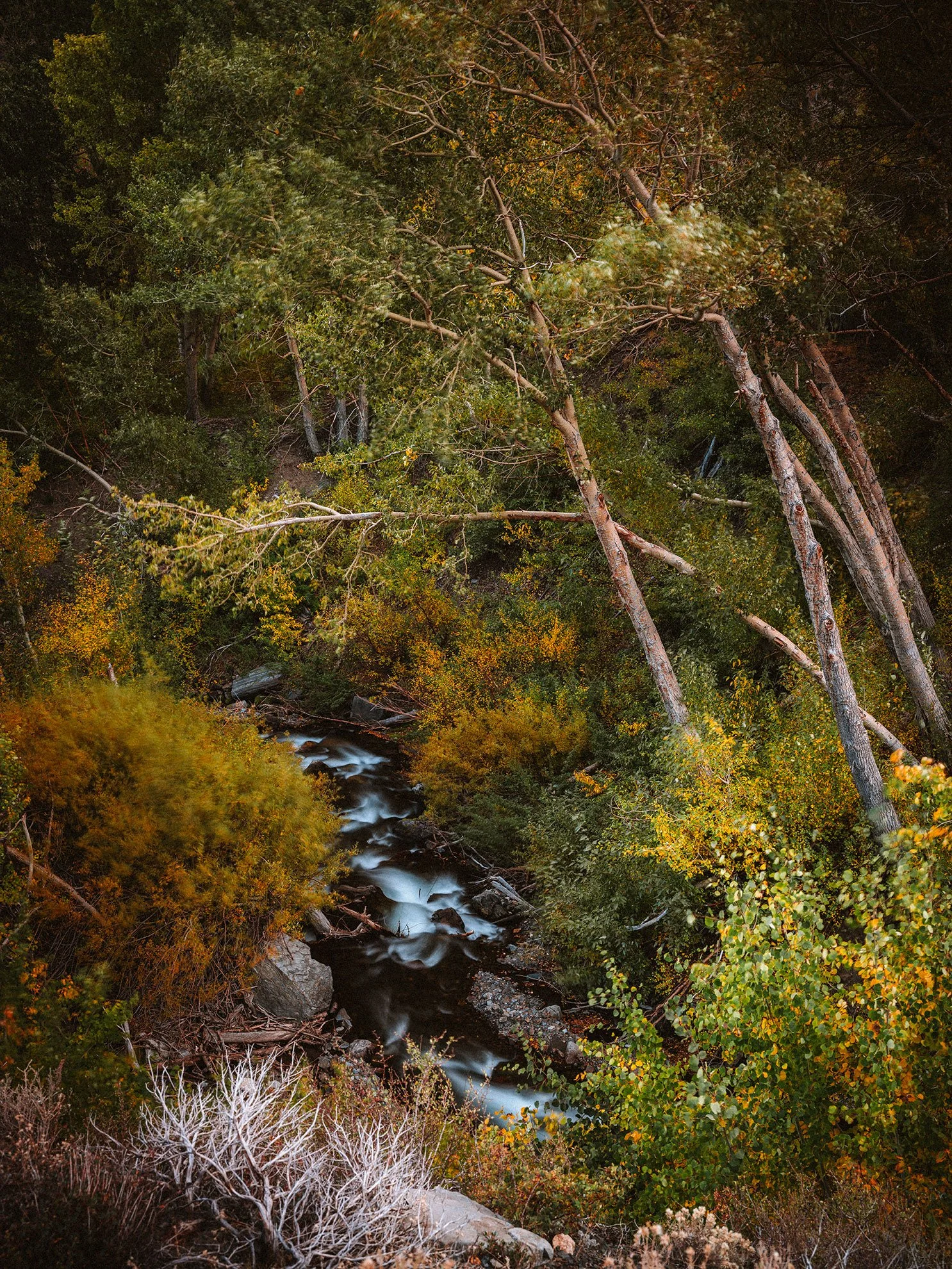 McGee_Creek_KLPhoto_0025.jpg