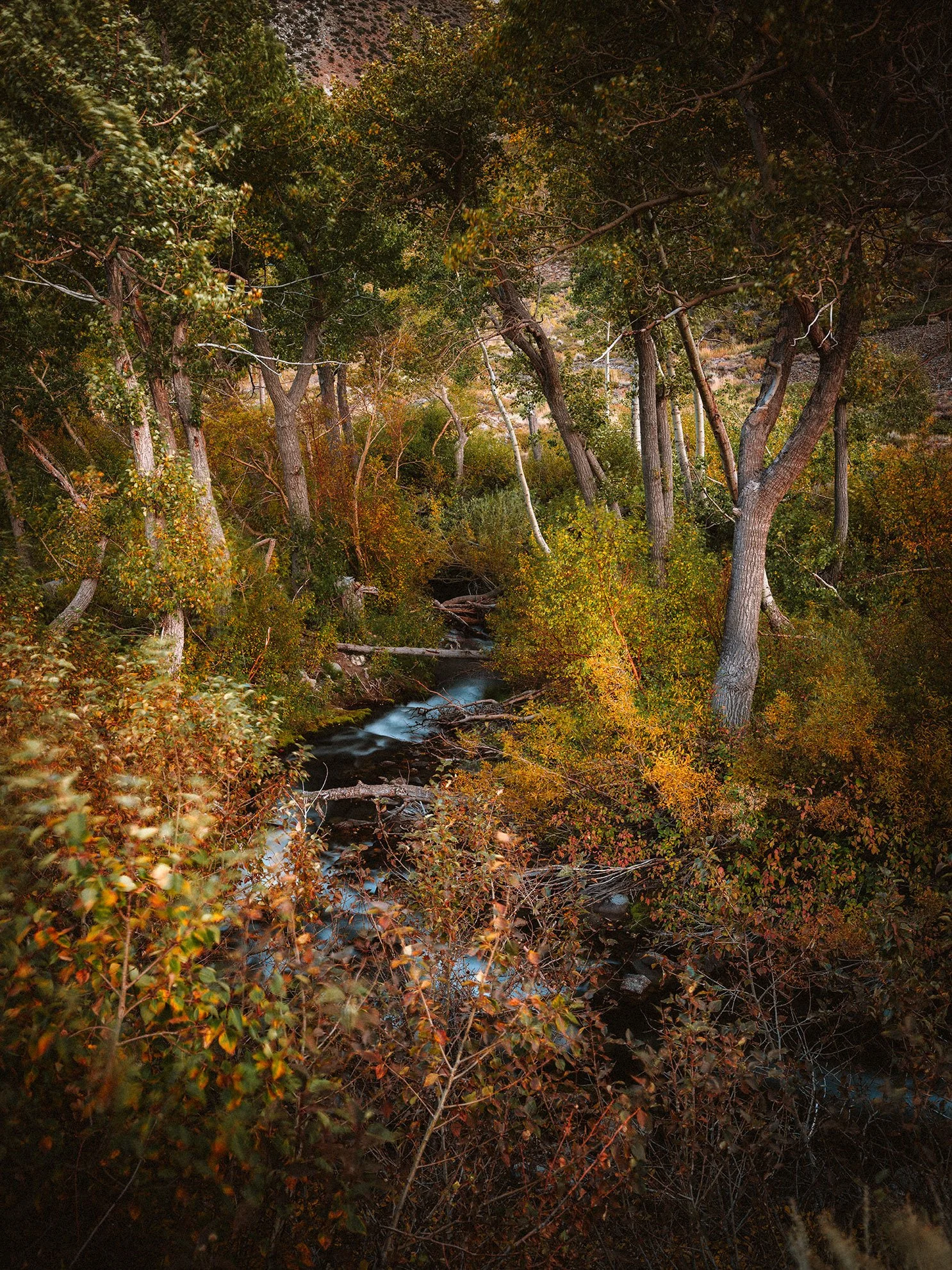 McGee_Creek_KLPhoto_0028.jpg