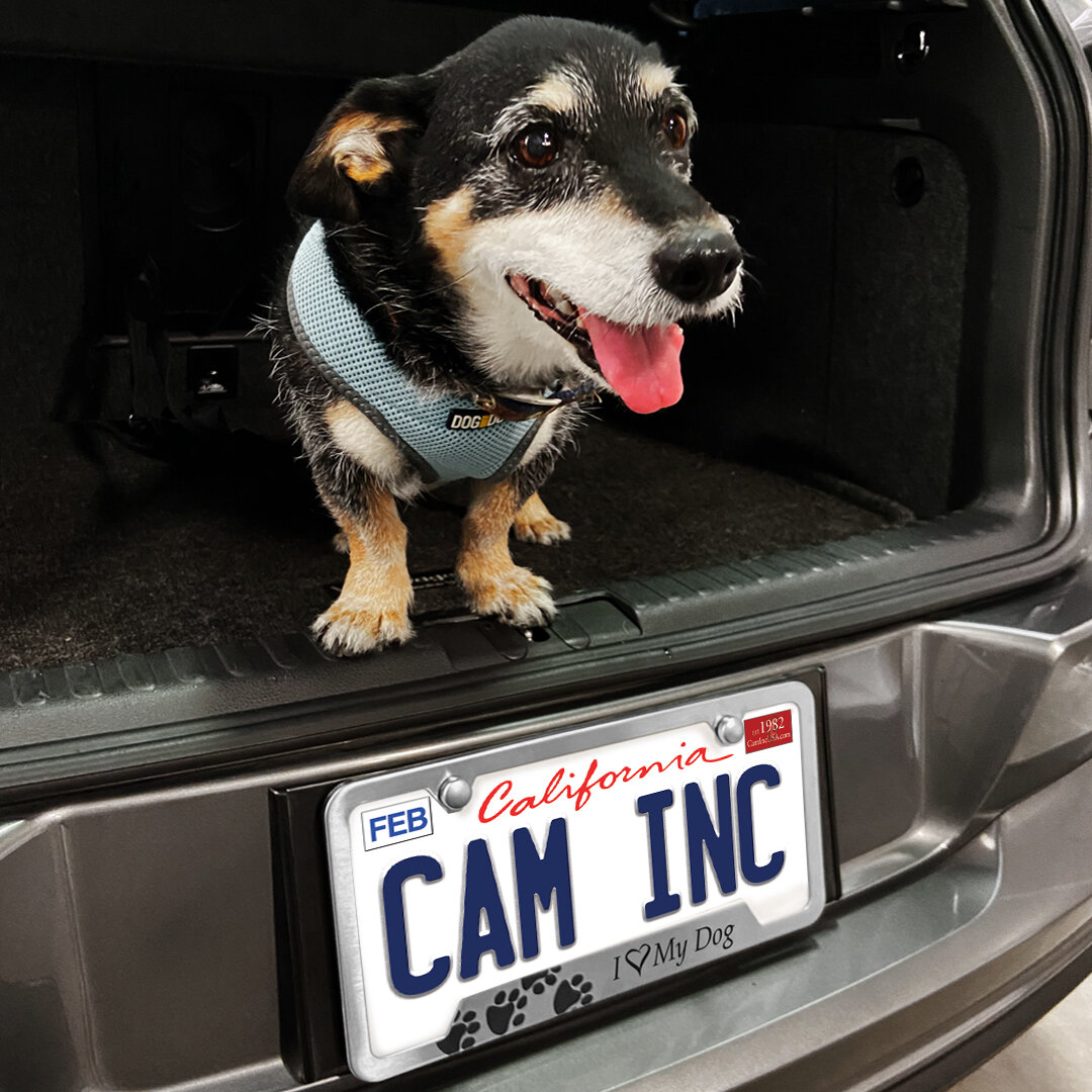 I Love My Mucuchies #r Black Dog License Plate Frame Auto Accessories