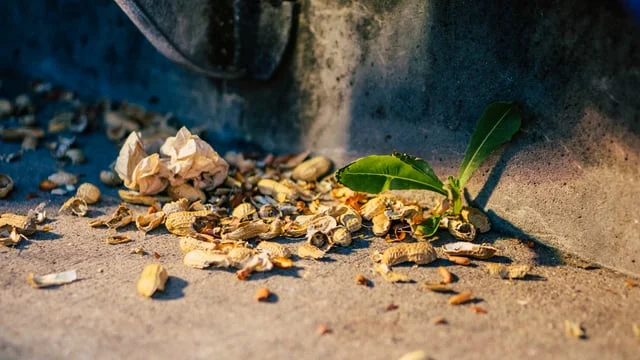 1 Minute Meal: "Take Us Out"