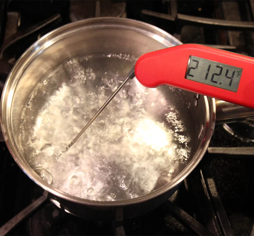 Thermapen 1.jpg