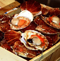 Rungis Wholesale Market, Paris 2.jpg