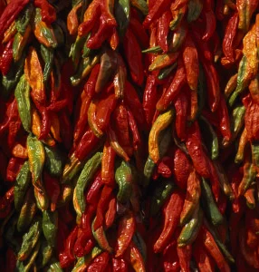 Santa Fe Farmers Market, New Mexico 1.jpg