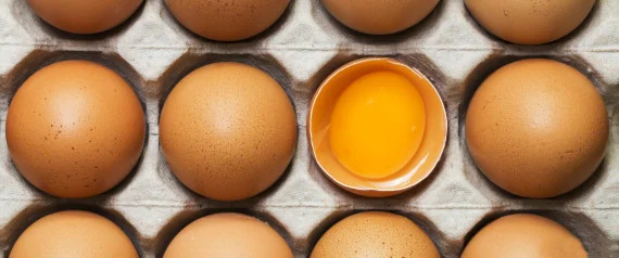 Eggs 1.jpg