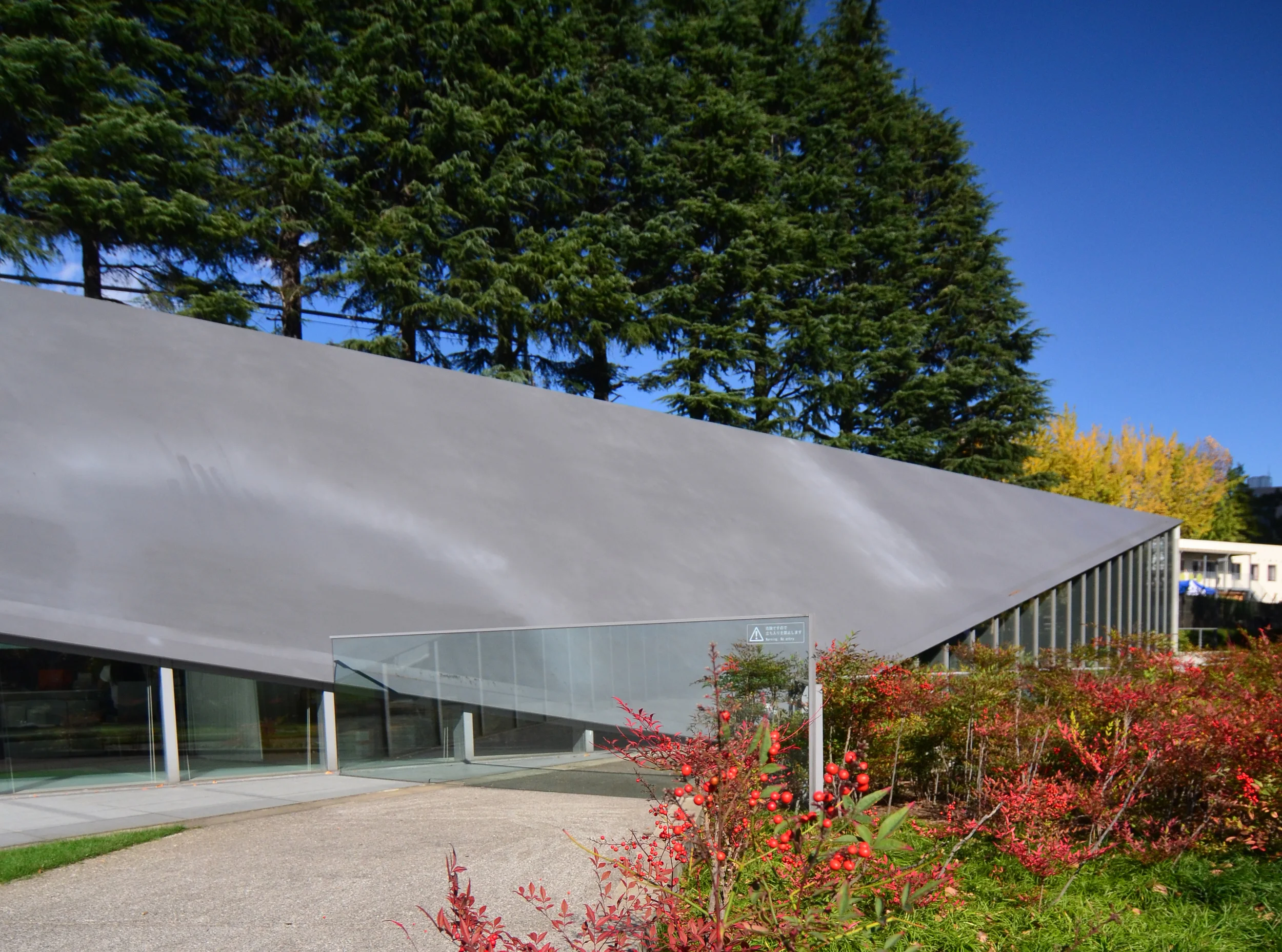 Tadao Ando_21 21 Design Sight 01_Andrew Pham 06.jpg
